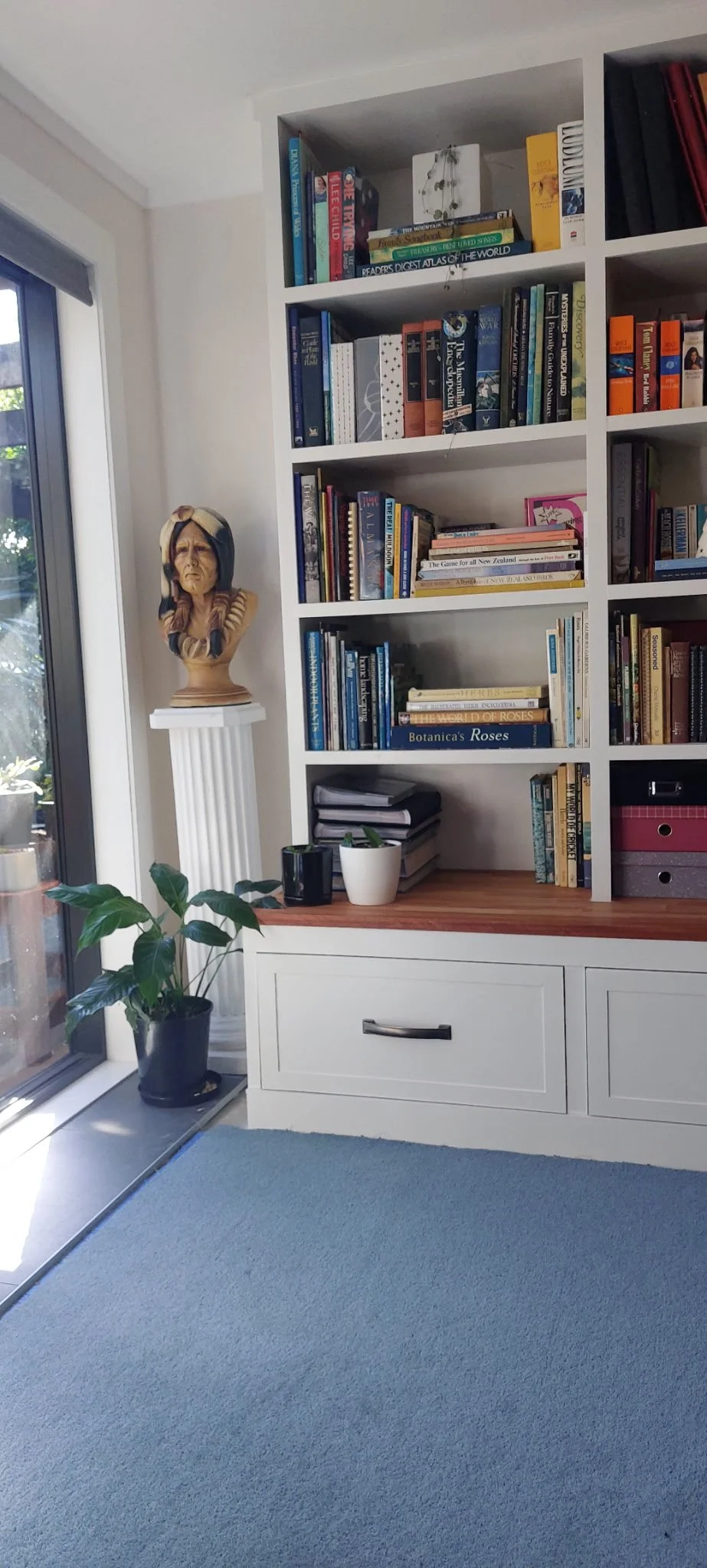Living room corner with a white bookshelf filled with books, a bust sculpture on a column pedestal, a potted plant on the floor, and a blue area rug.