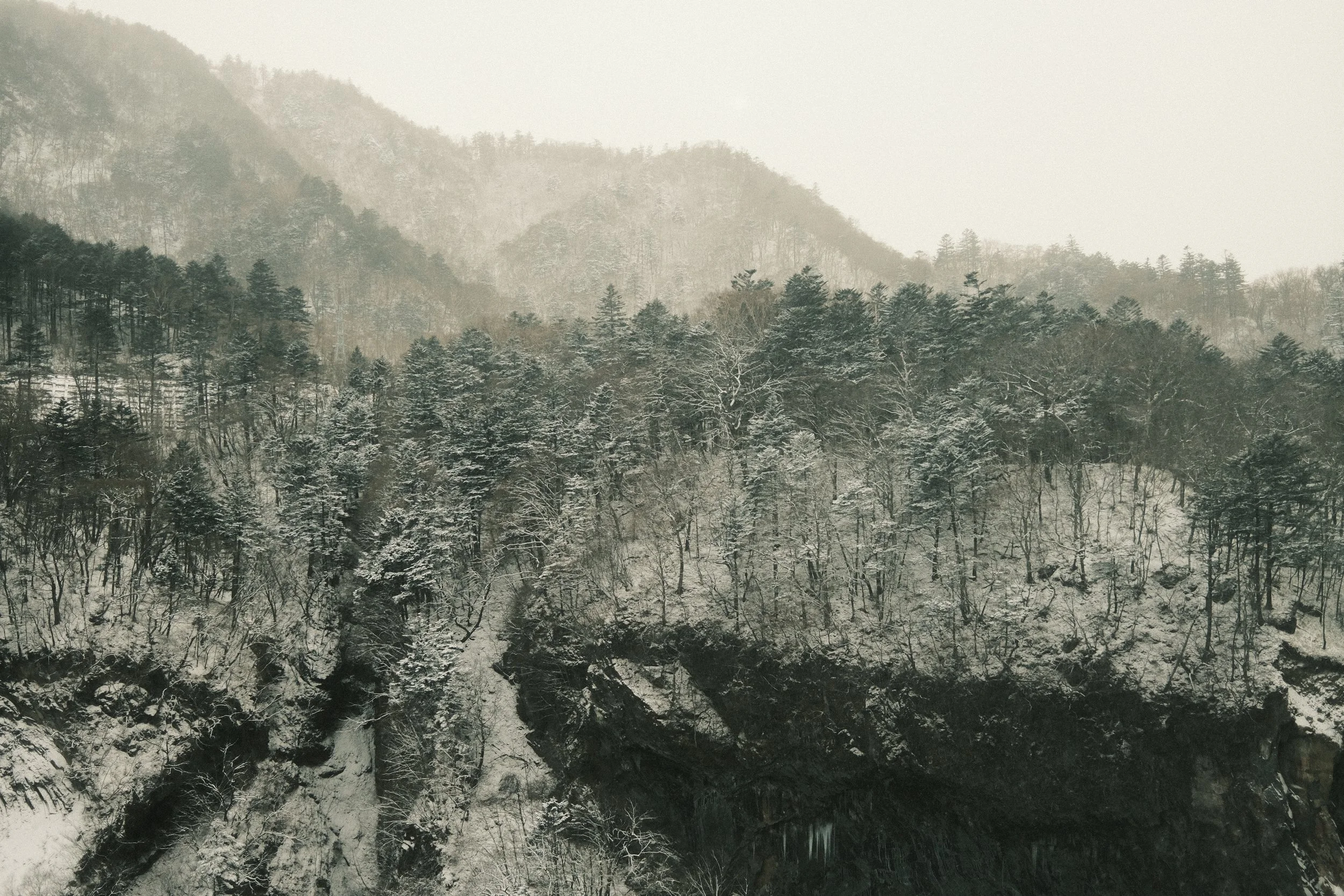 DSCF9618.JPG