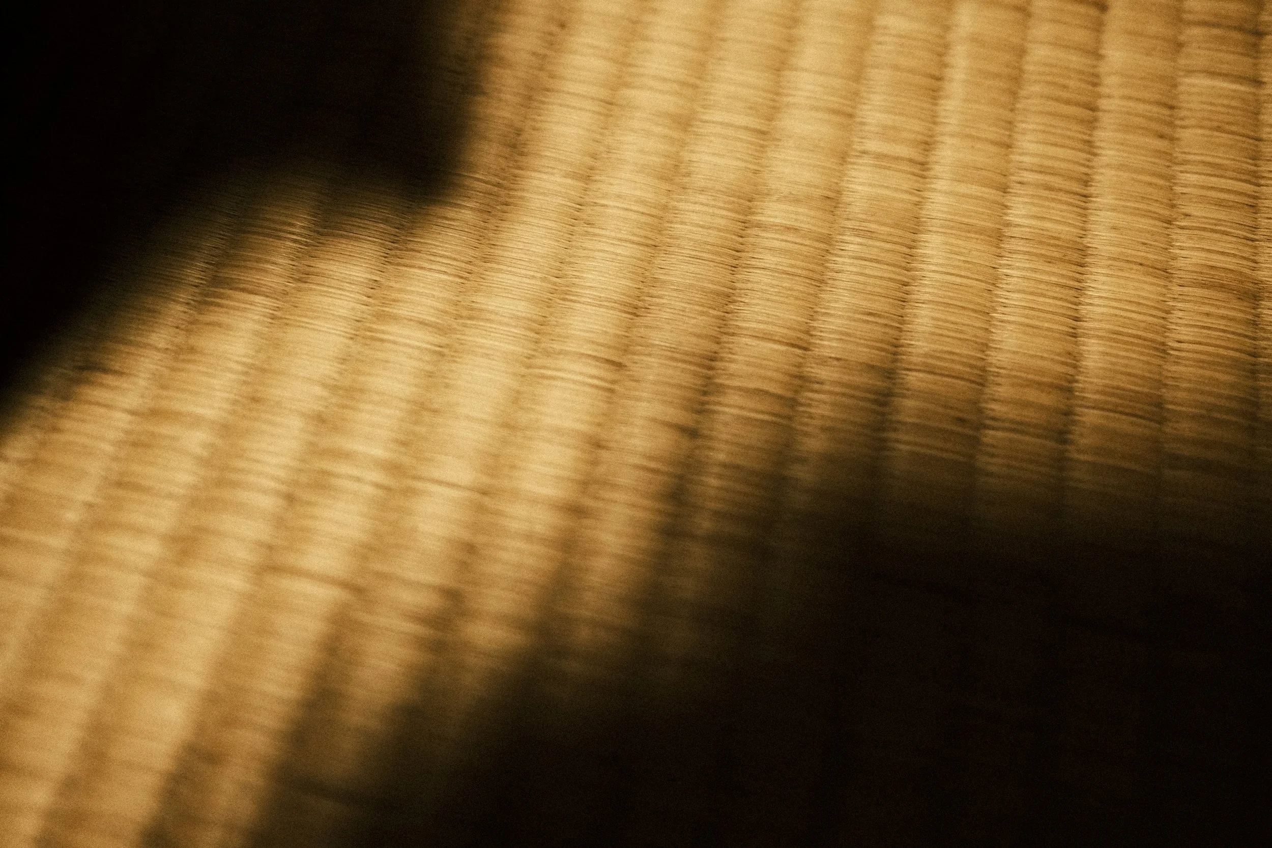 DSCF8889.JPG