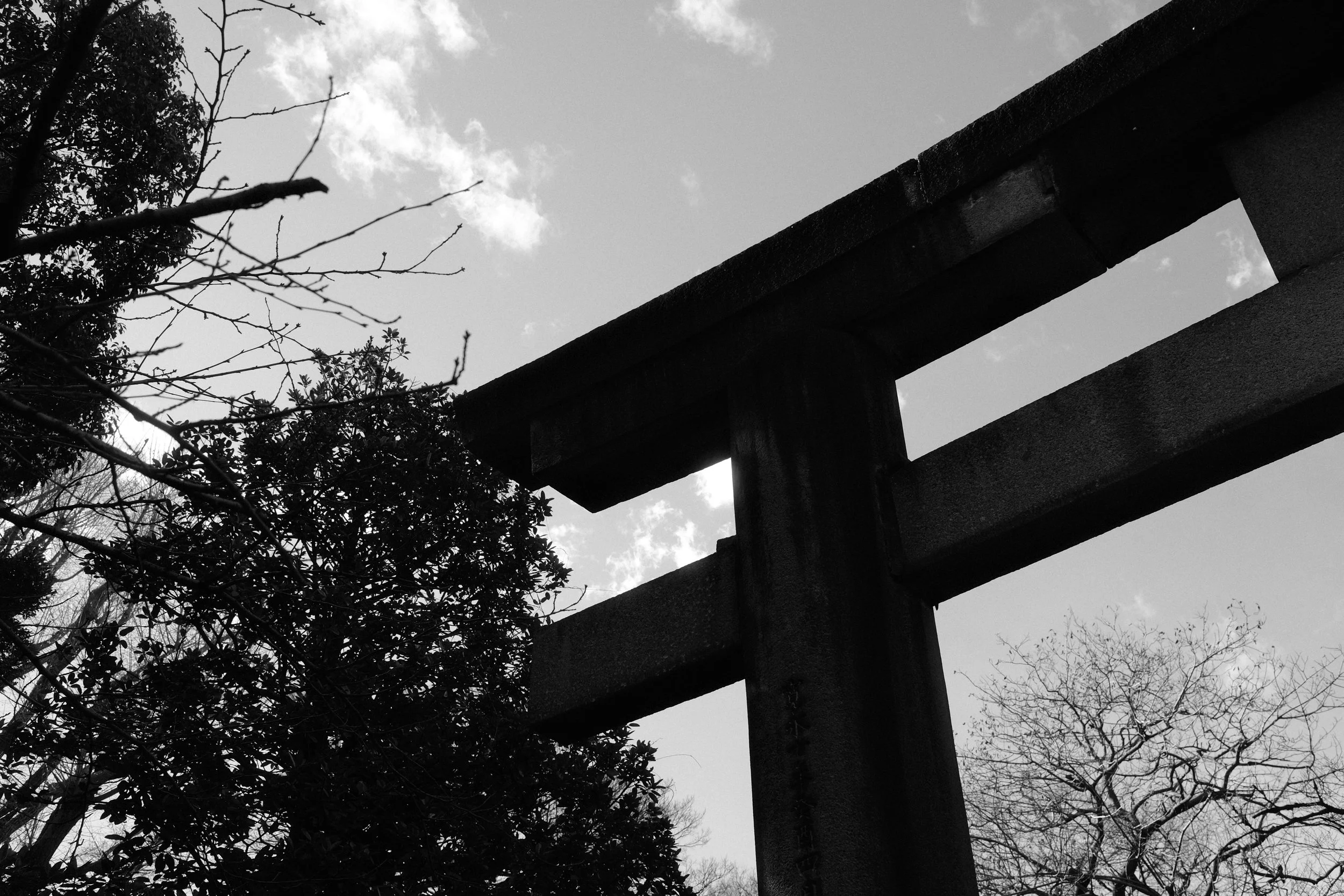 DSCF9371.JPG