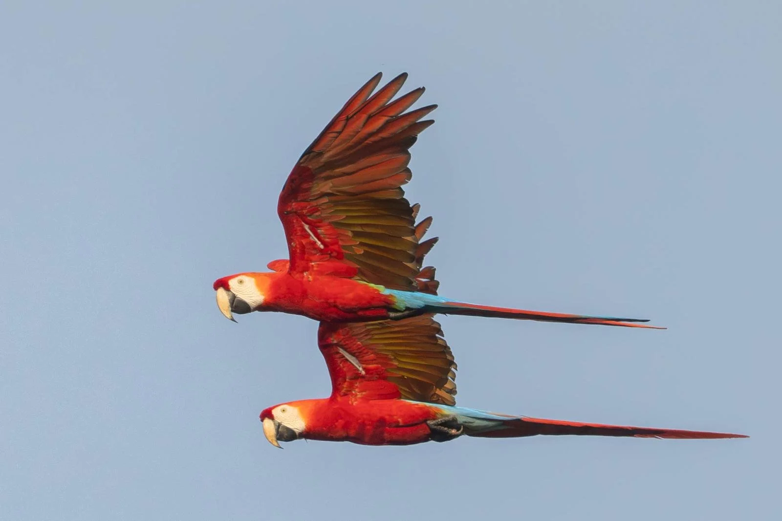 a5d90cae-ea7c-4f65-8578-494df8ee11d2.jpg