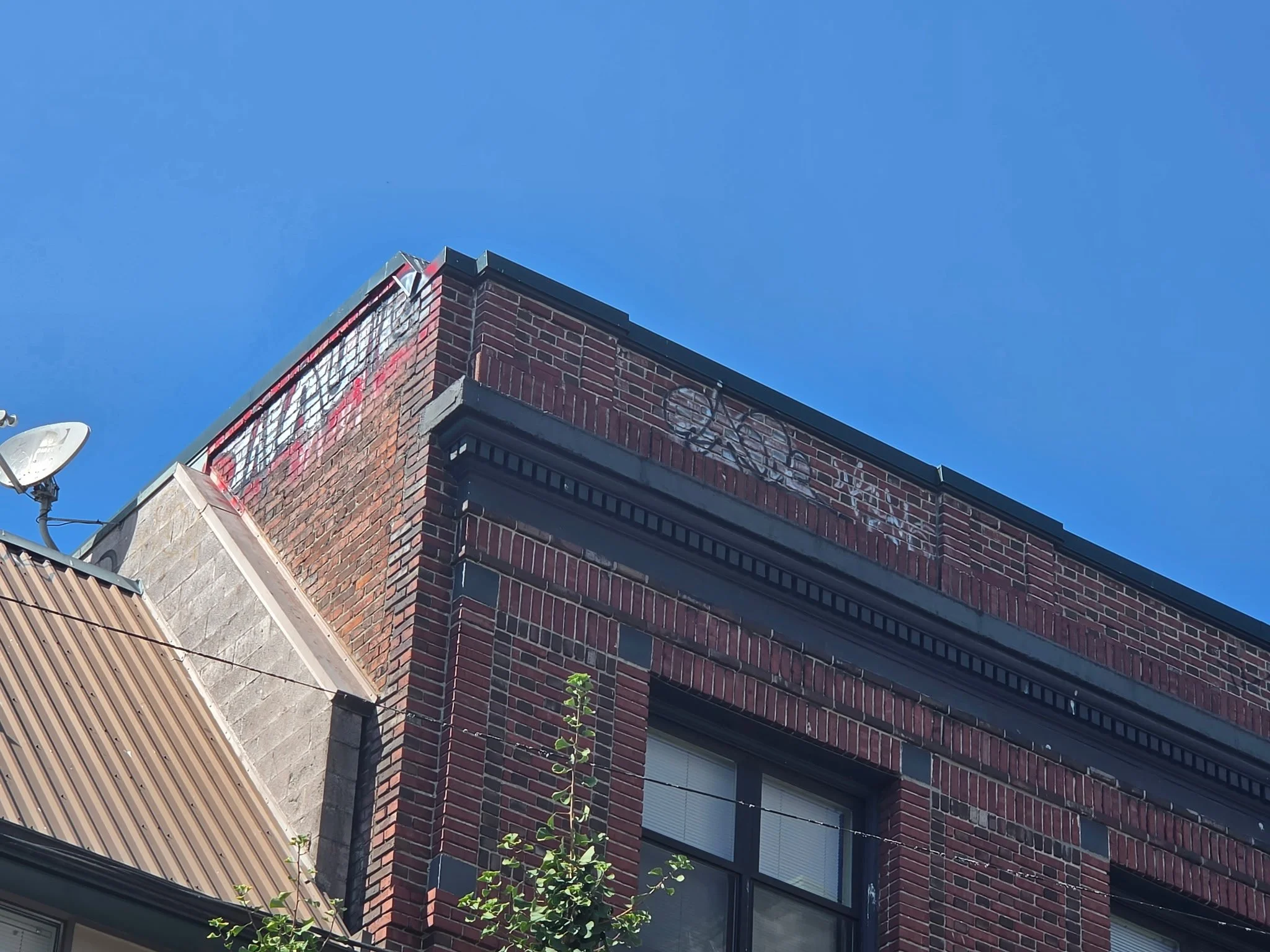 Upward view of a brick building with graffiti on the rooftop edge, a satellite dish, and a small tree in the foreground against a clear blue sky.