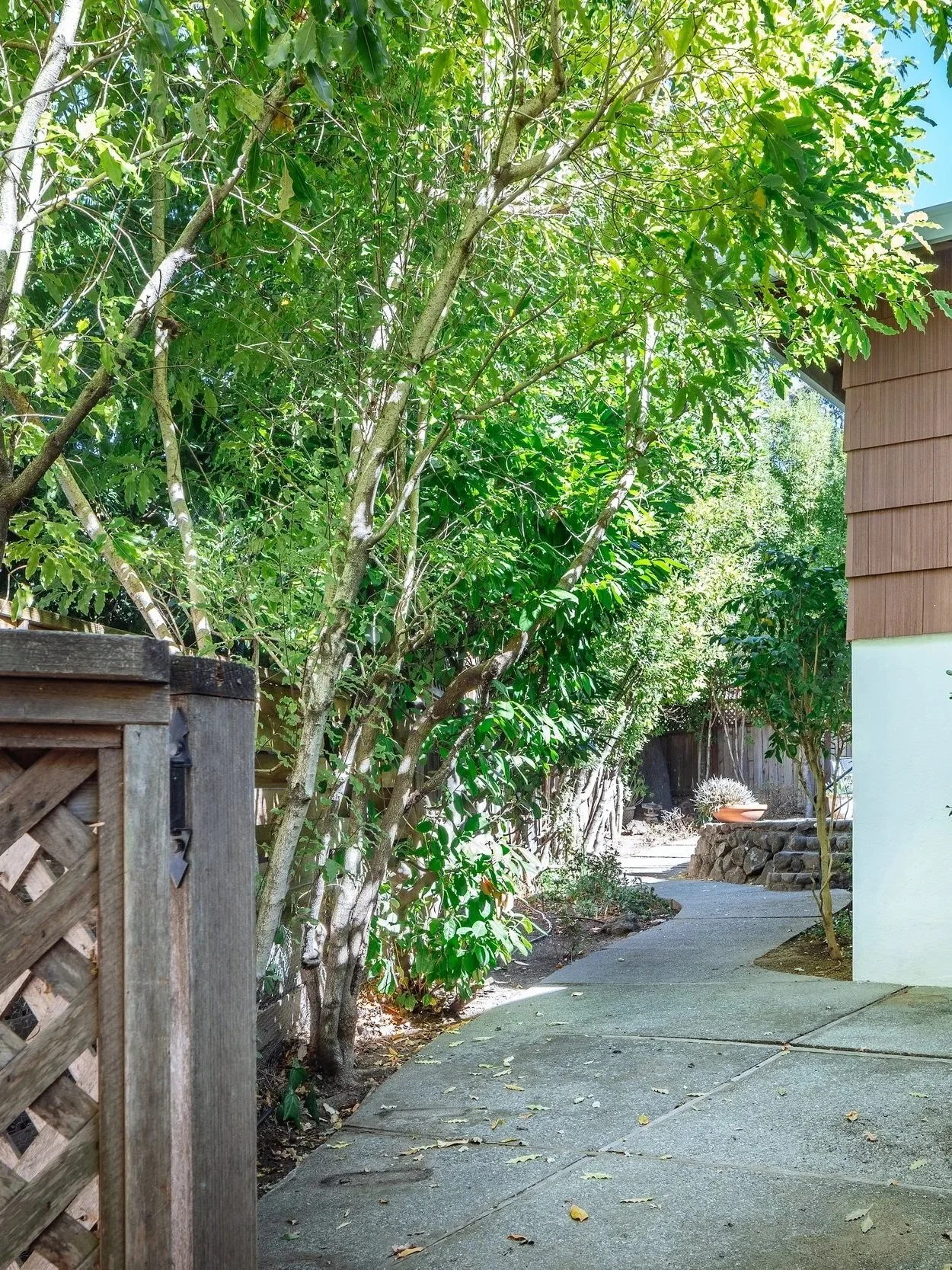 Hedge+Realty+39+Piper+Ln+Fairfax+2026+-+michael+woolsey+2026-4609.jpg