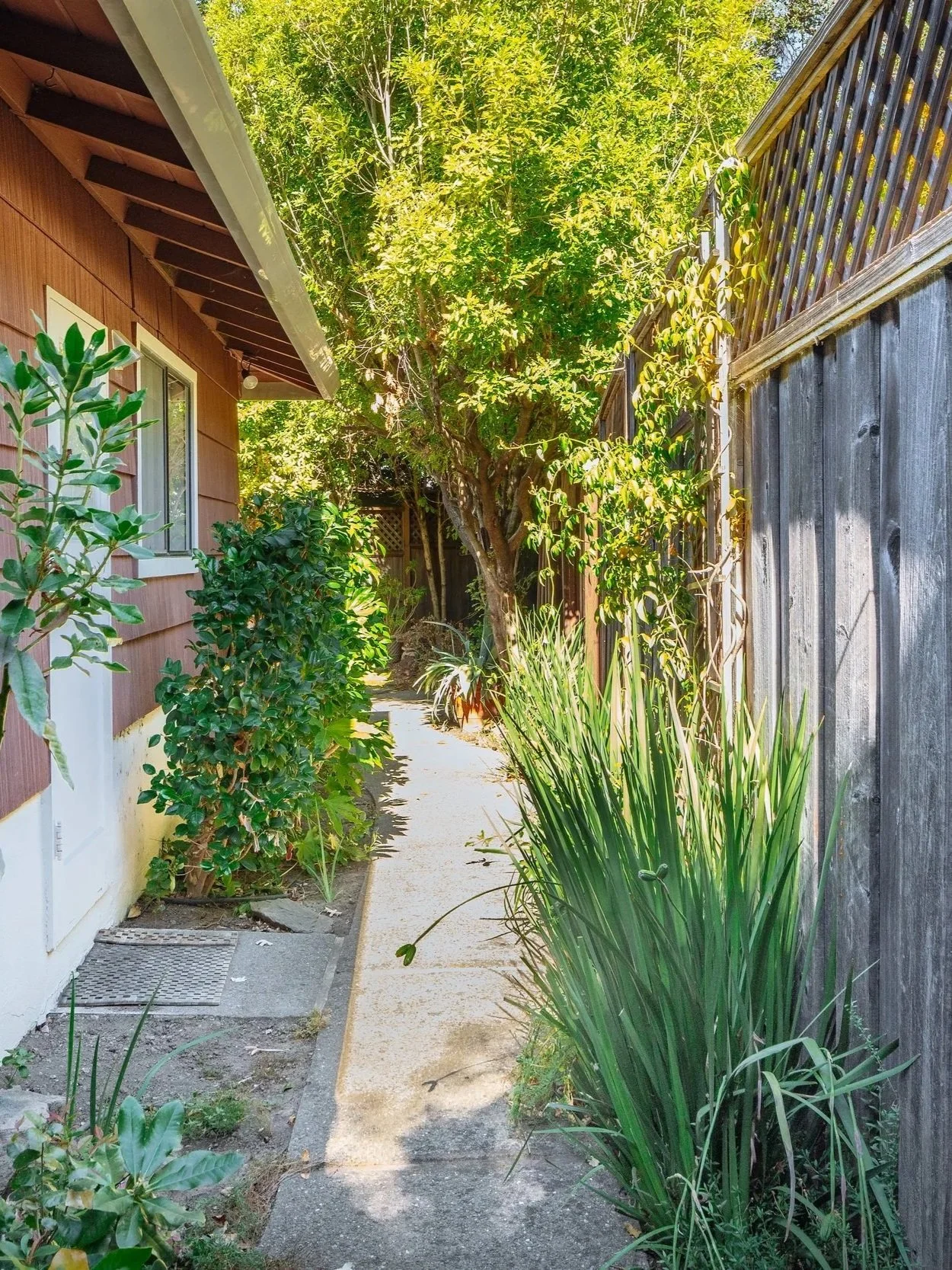 Hedge+Realty+39+Piper+Ln+Fairfax+2026+-+michael+woolsey+2026-4596.jpg