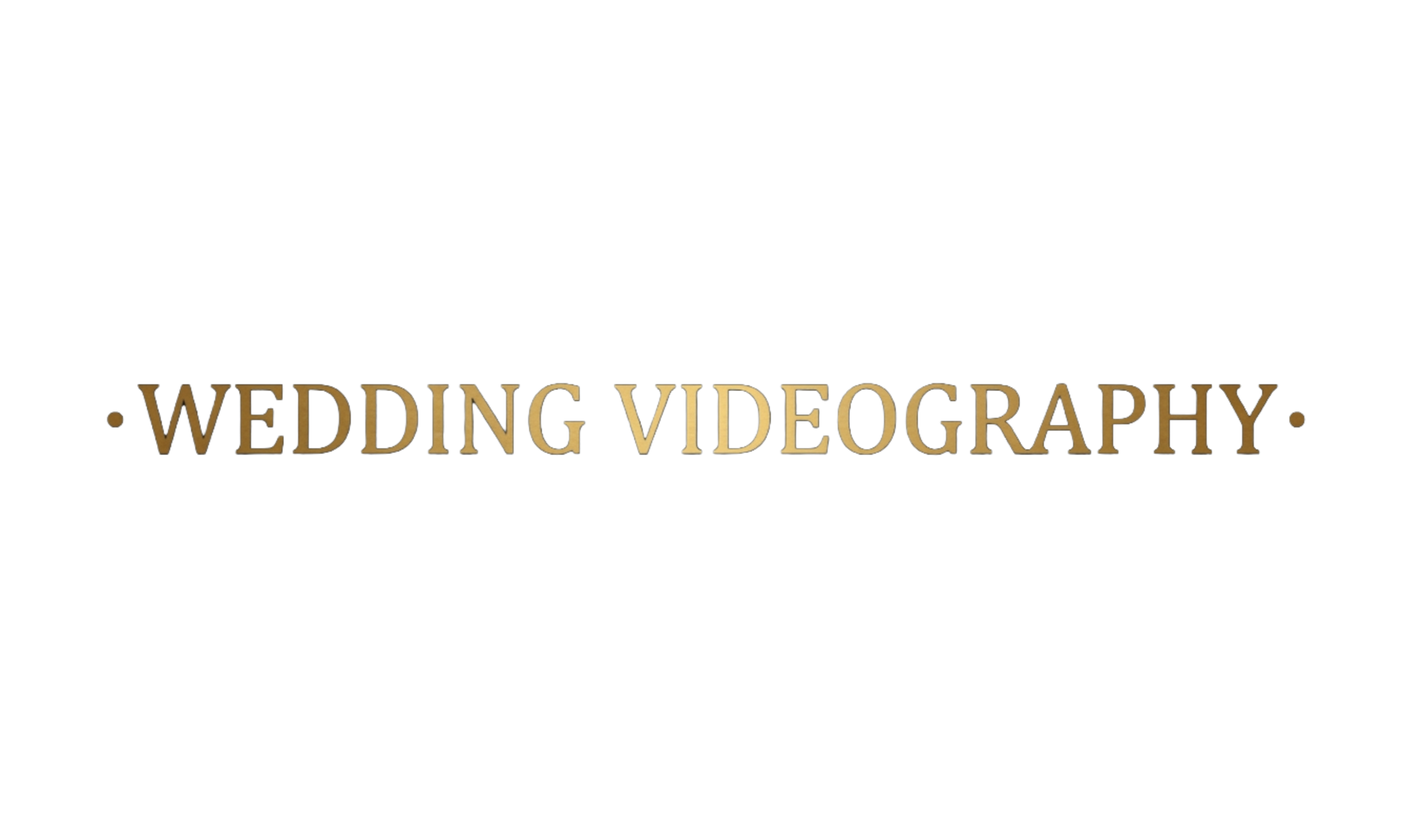 Text saying 'WEDDING VIDEOGRAPHY' in a gold 3D font on a black background.