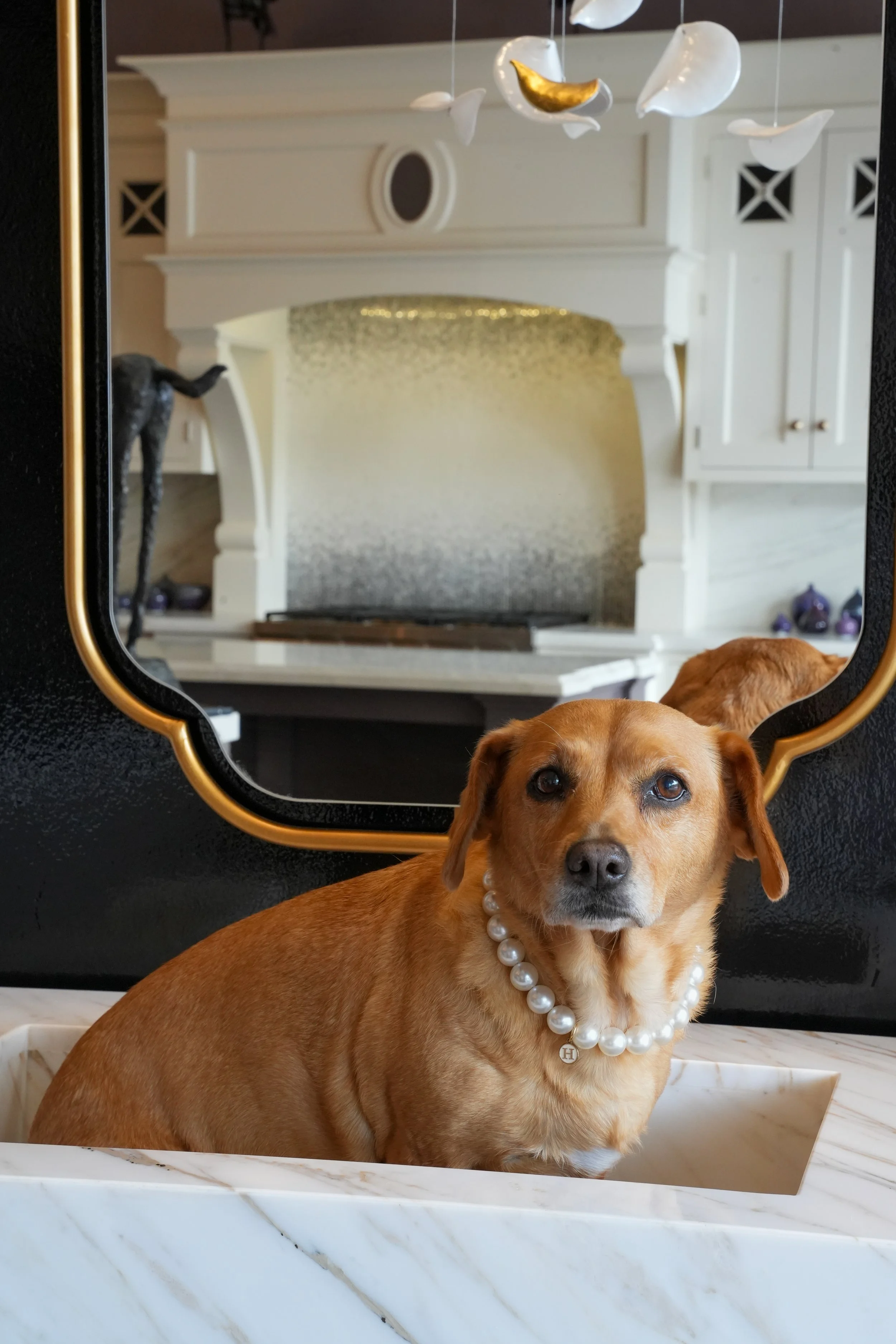 A brown dog wearing a pearl necklace sitting on a marble surface in front of a decorative mirror reflecting a white fireplace with gold and silver accents