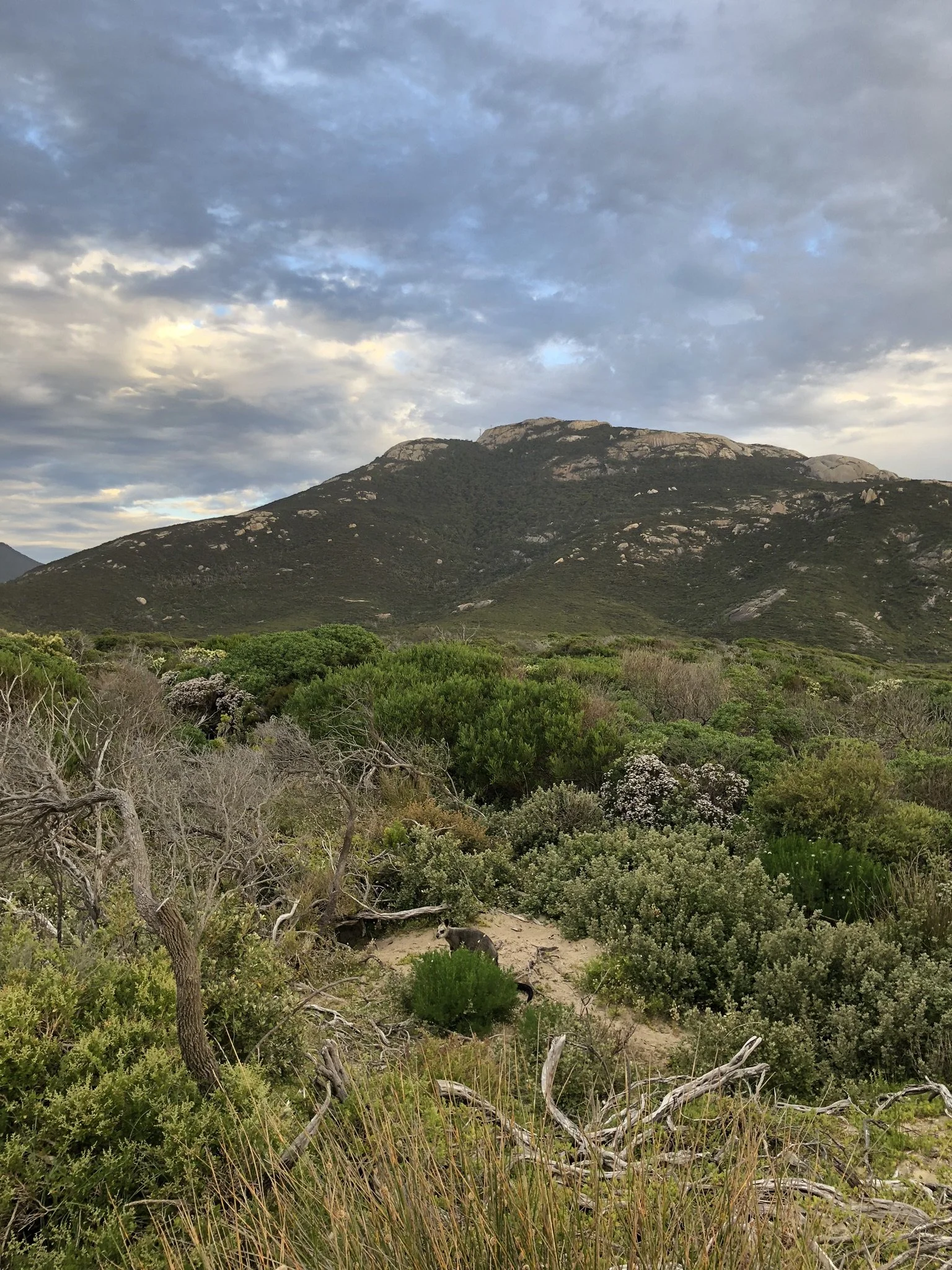 A landscape of a mountain with green vegetation, rocky patches at the top, and a partly cloudy sky.