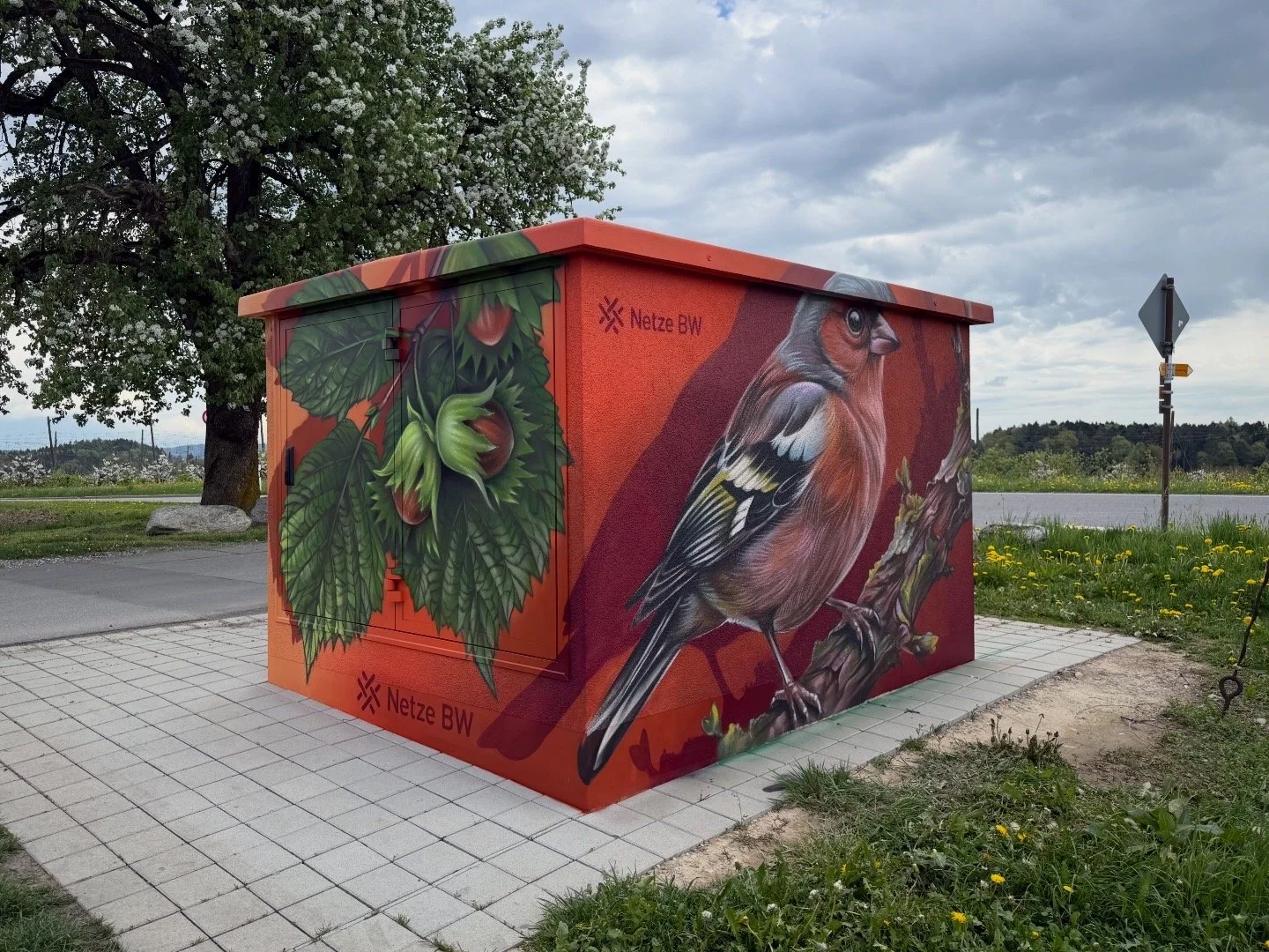 Eine bemalte Trafobox mit einem realistisches Gemälde eines Finkens und Haselnüssen. Das Gemälde ist auf einer orangefarbenen Basis mit dem Text 'Netze BW'.