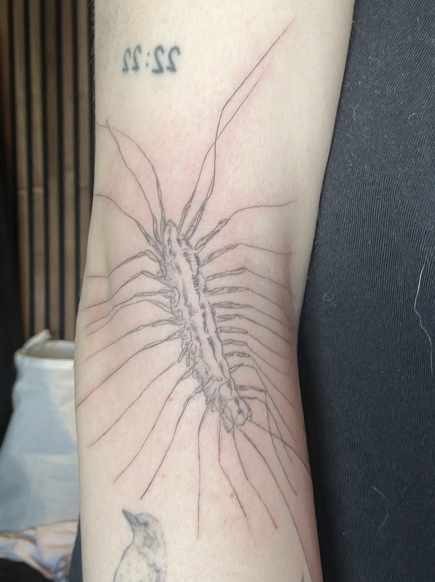 Nahaufnahme eines Unterarms mit großem, detailreichem Fineline Tattoo und kleinem „22:22“-Tattoo.