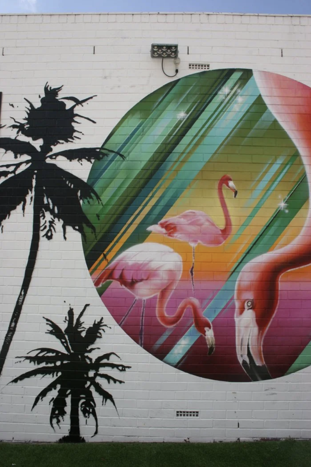 Streetart mit zwei Pink Flamingos, einer grünen Palme und bunten Linien auf einer weißen Wand.