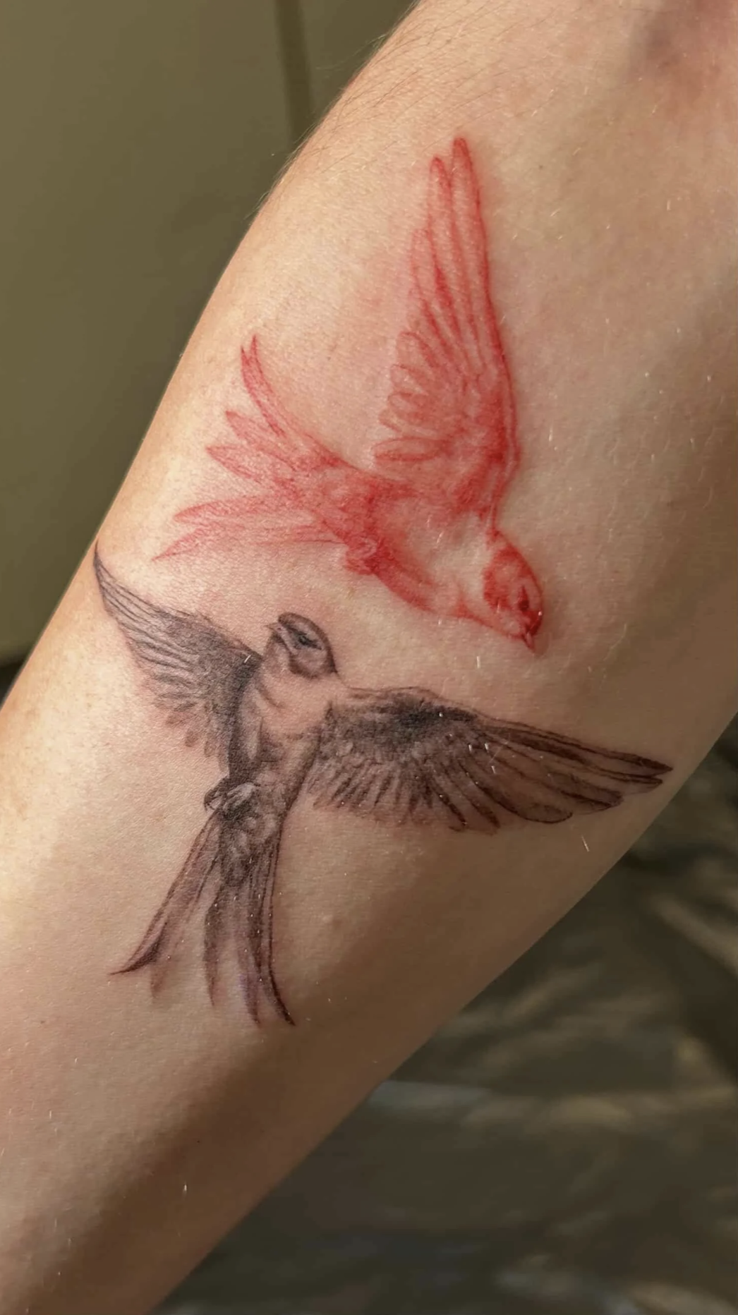 Nahaufnahme eines Unterarms mit schwarzem Vogel-Tattoo und roter Vogelskizze darüber