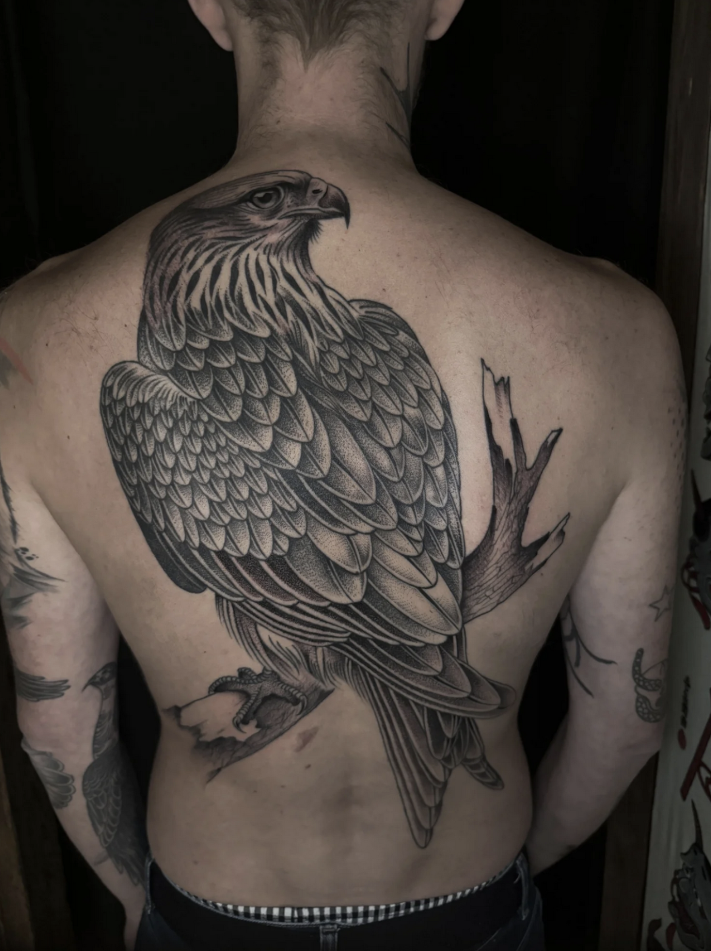 Großes Rückentattoo eines Raubvogels auf einem Ast im detailreichen Black-and-Grey-Stil