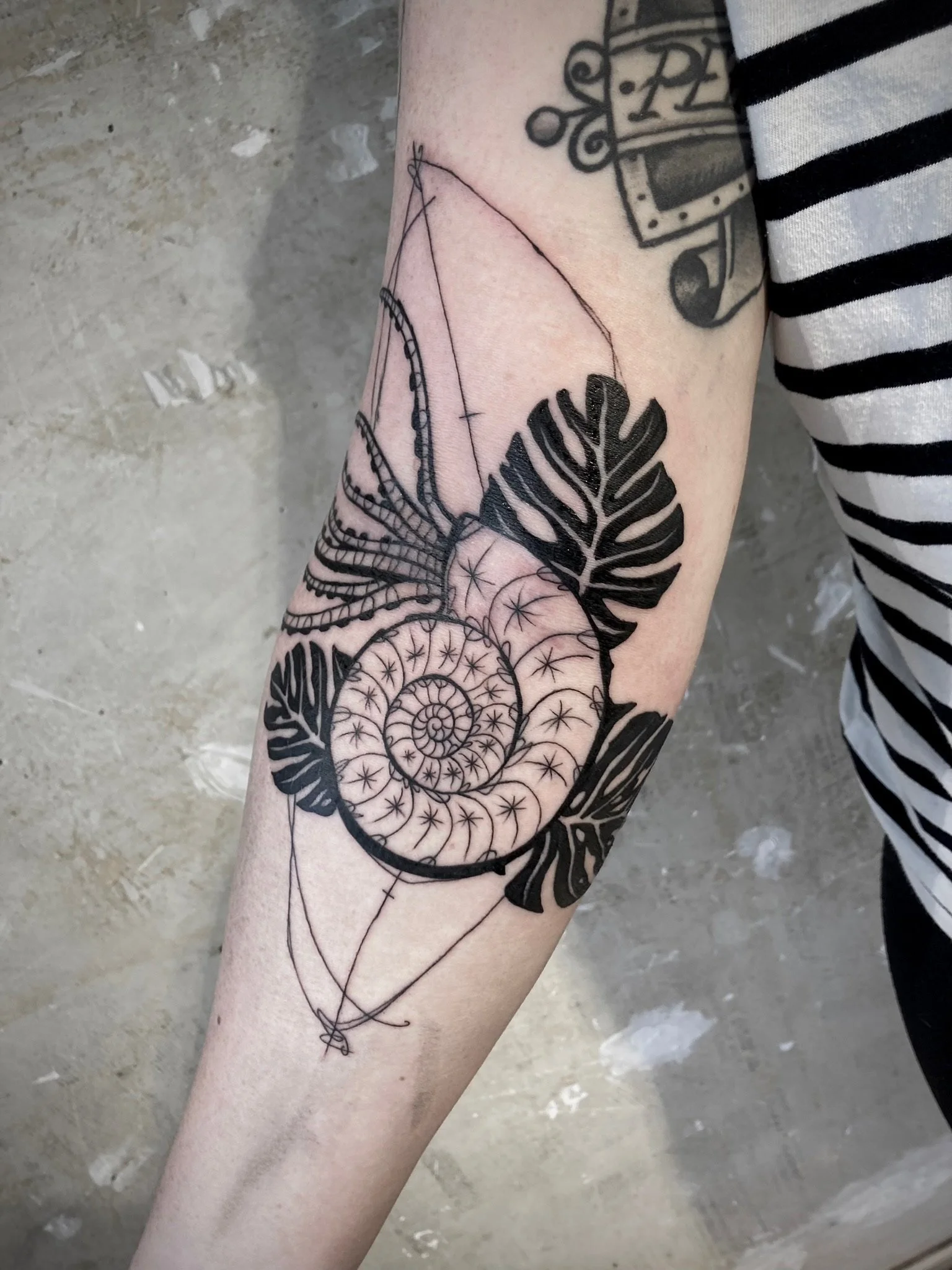 Schwarz-graues Unterarm-Tattoo mit spiralförmigem Ammonitenfossil, tropischen Blättern und geometrischen Linien