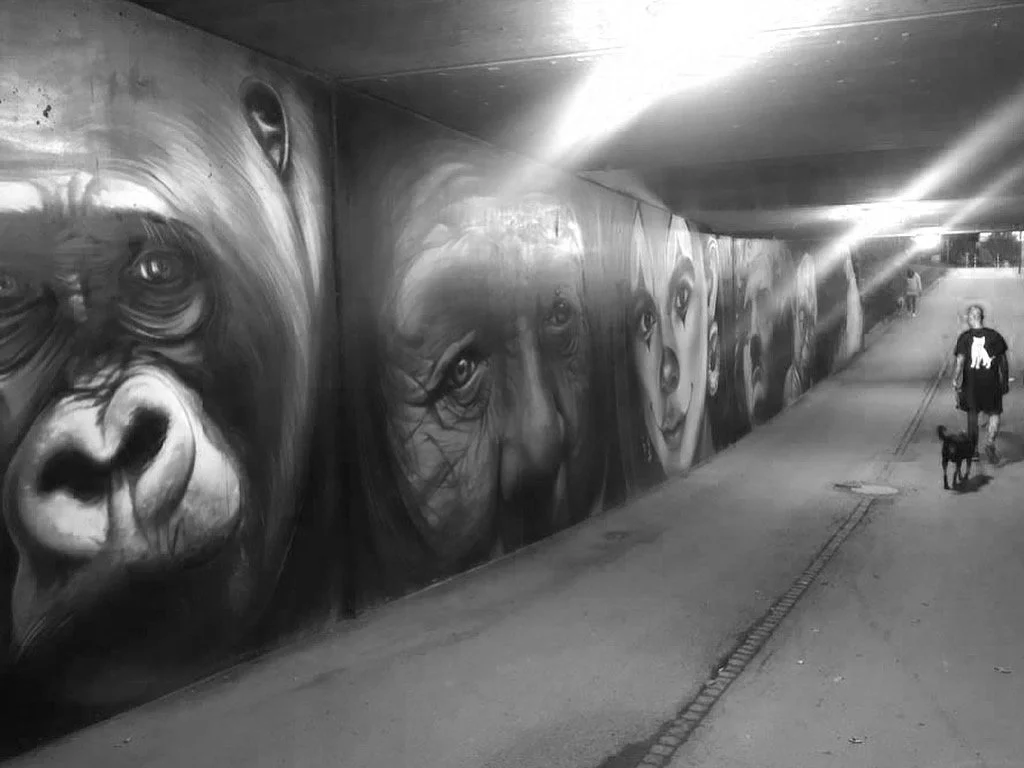 Schwarzweiß-Graffiti von Tieren und Menschen an einer Wand in einer Unterführung, mit einer Person und einem Hund, die vorbeigehen.