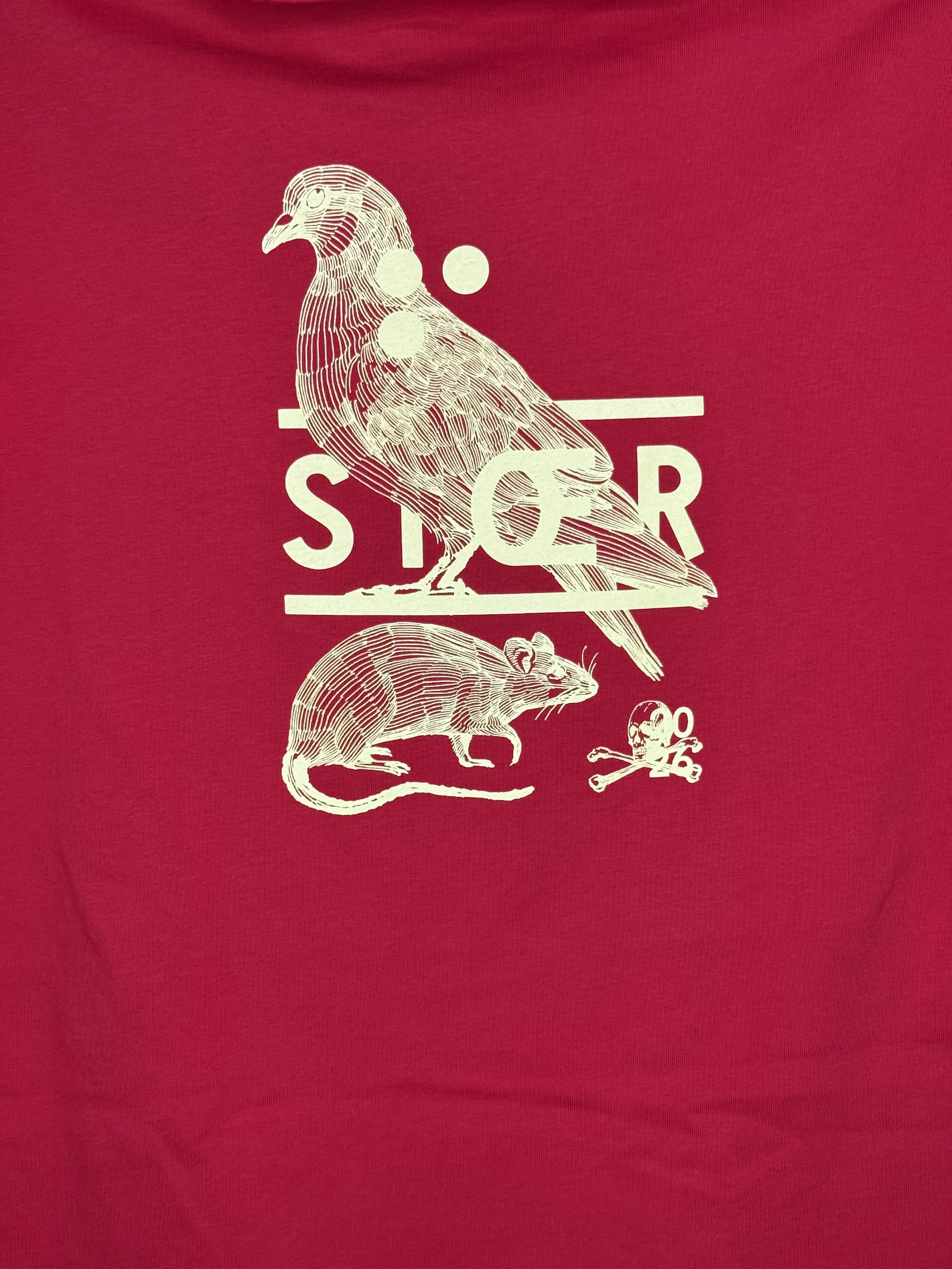 Vintage-Illustration eines Vogels auf einem Ast und einer Maus mit Totenkopf, auf rotem Hintergrund