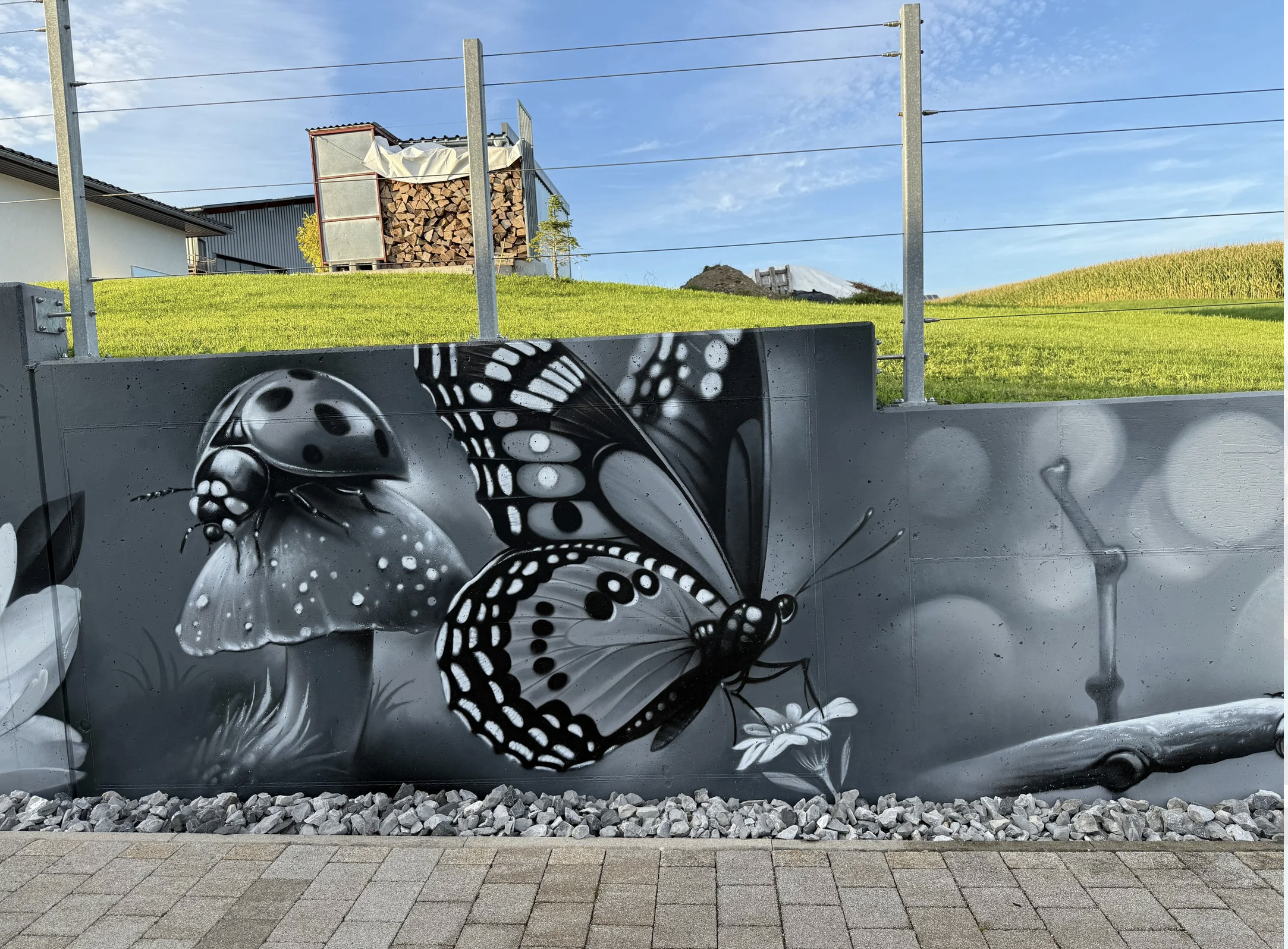 Graffiti eines Schmetterlings auf einer Betonmauer bei blauem Himmel.