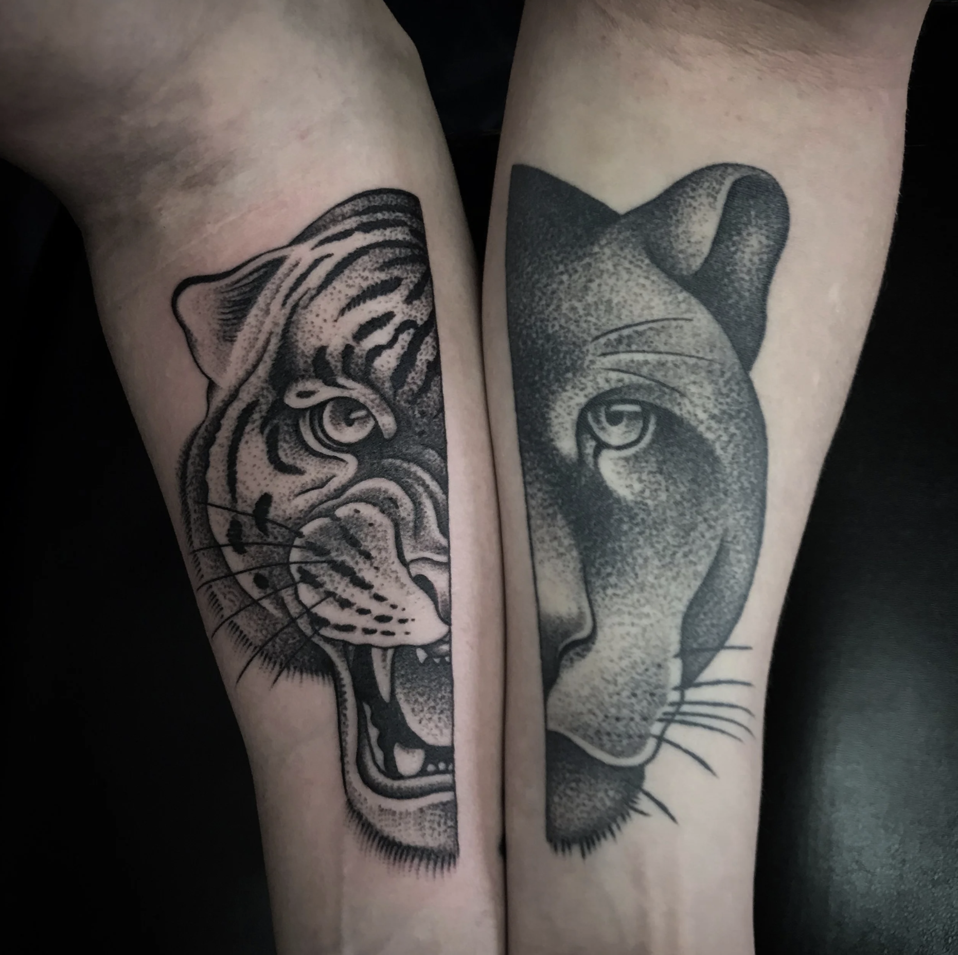 Nahaufnahme zweier Unterarme mit auffälligen Schwarz-Weiß-Tattoos von einem Tiger und einem Panther Kopf