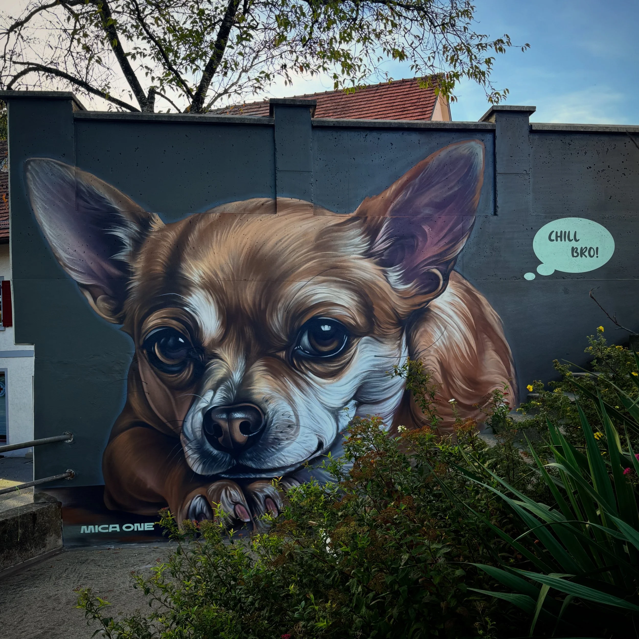 Ein GRAFFITI eines Hundes mit braunem Fell und großen, niedlichen Augen, mit einem Sprechblasen-Satz "Chill Bro!"