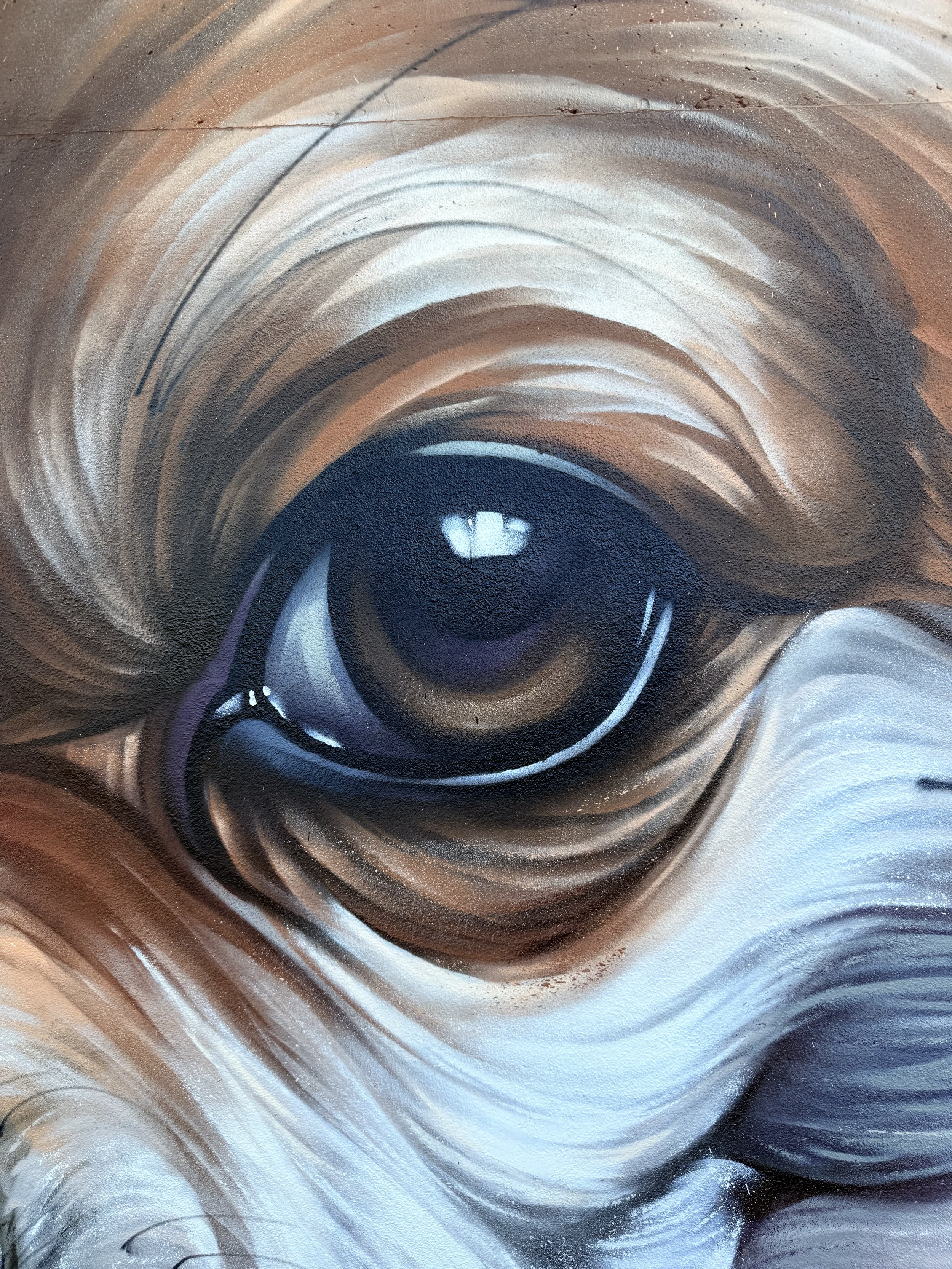 Ausschnitt eines realistsichen Graffitis das ein Auge zeigt.