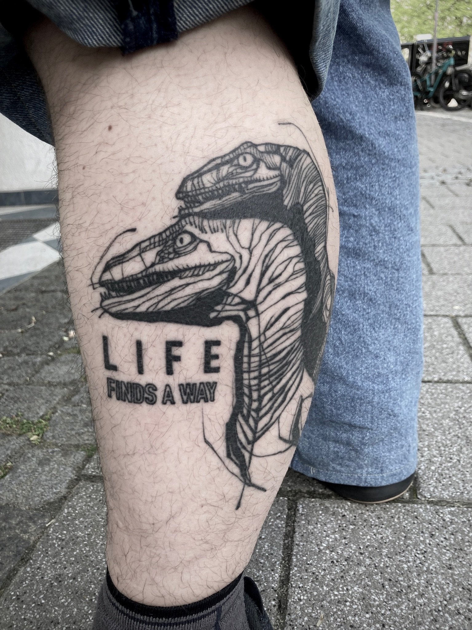 Illustrative Blackwork Tätowierung von zwei T-Rex Dinosauriern