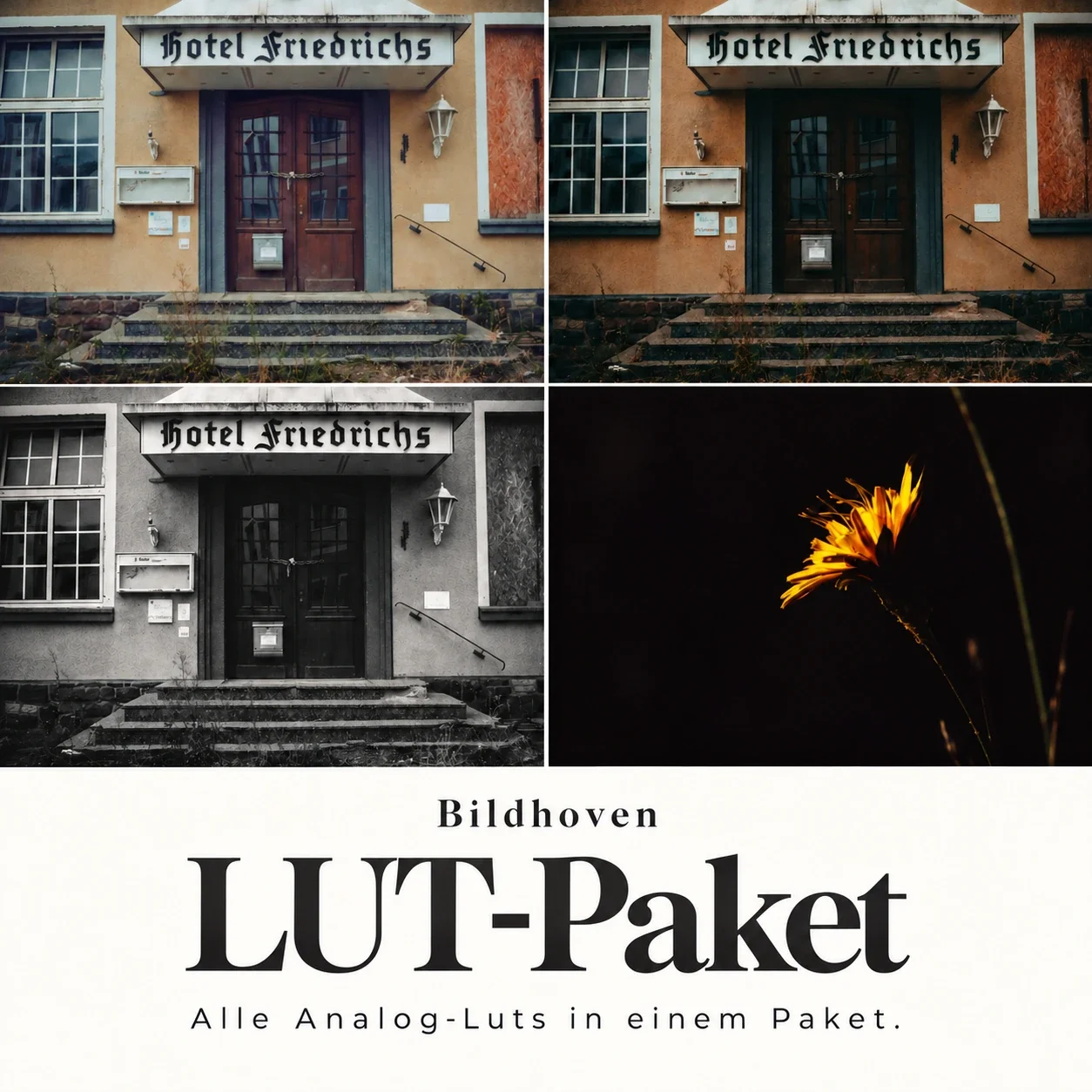 Bildhoven-Analog-LUT-Paket.webp