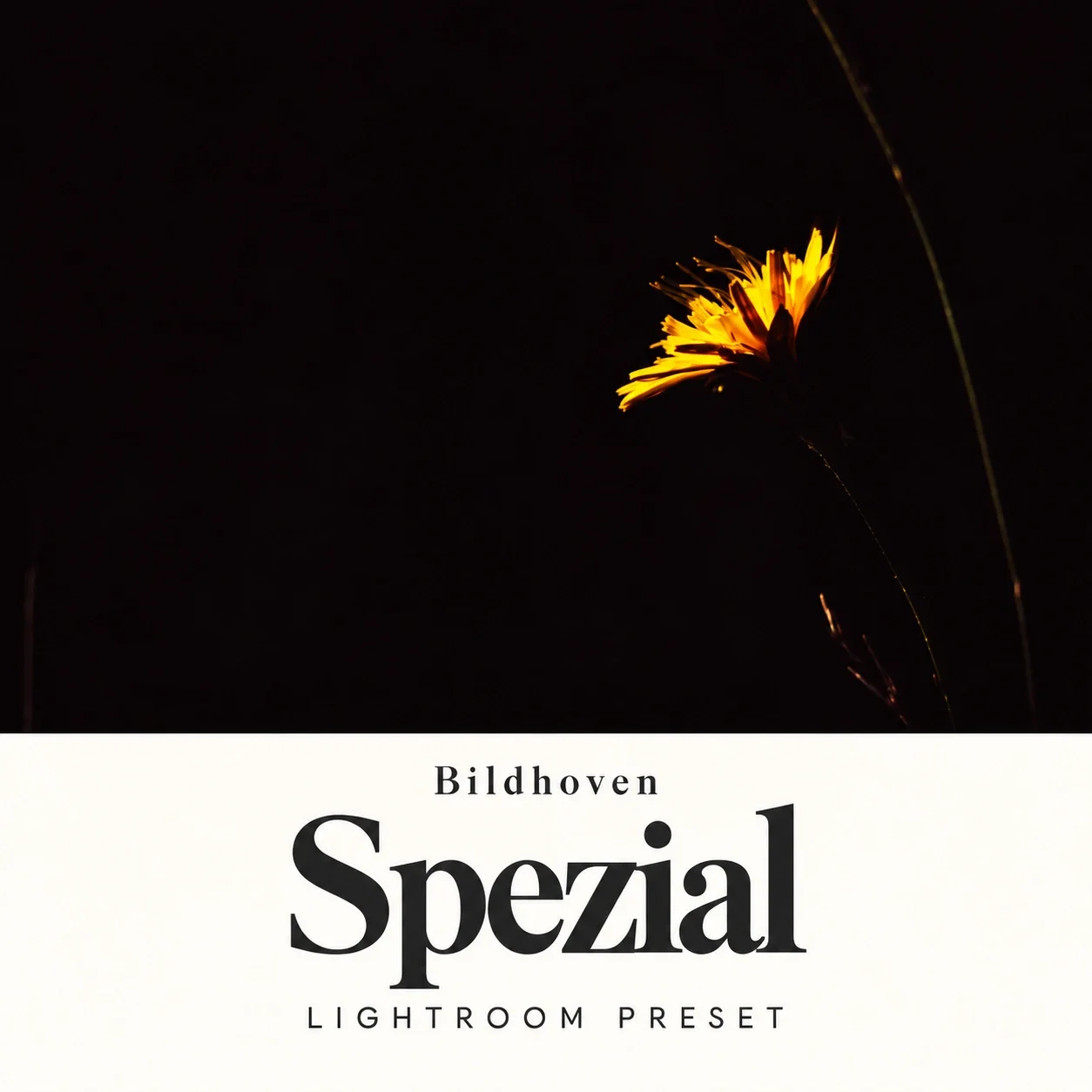 Bildhoven Spezial – Lightroom-Preset