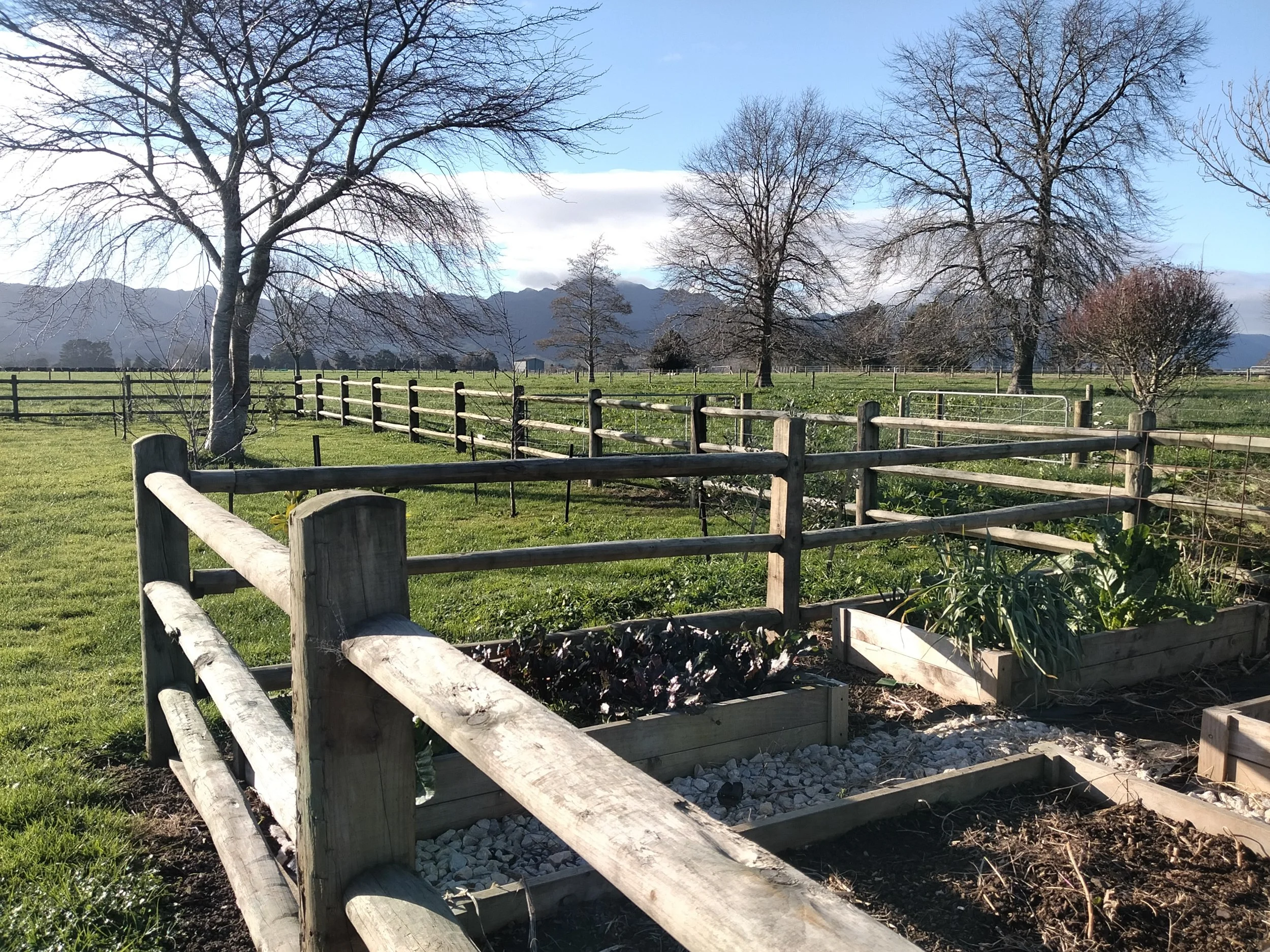 A rural landscape with leafless trees, a wooden fence, green grass, mountains in the background, and a partly cloudy sky.