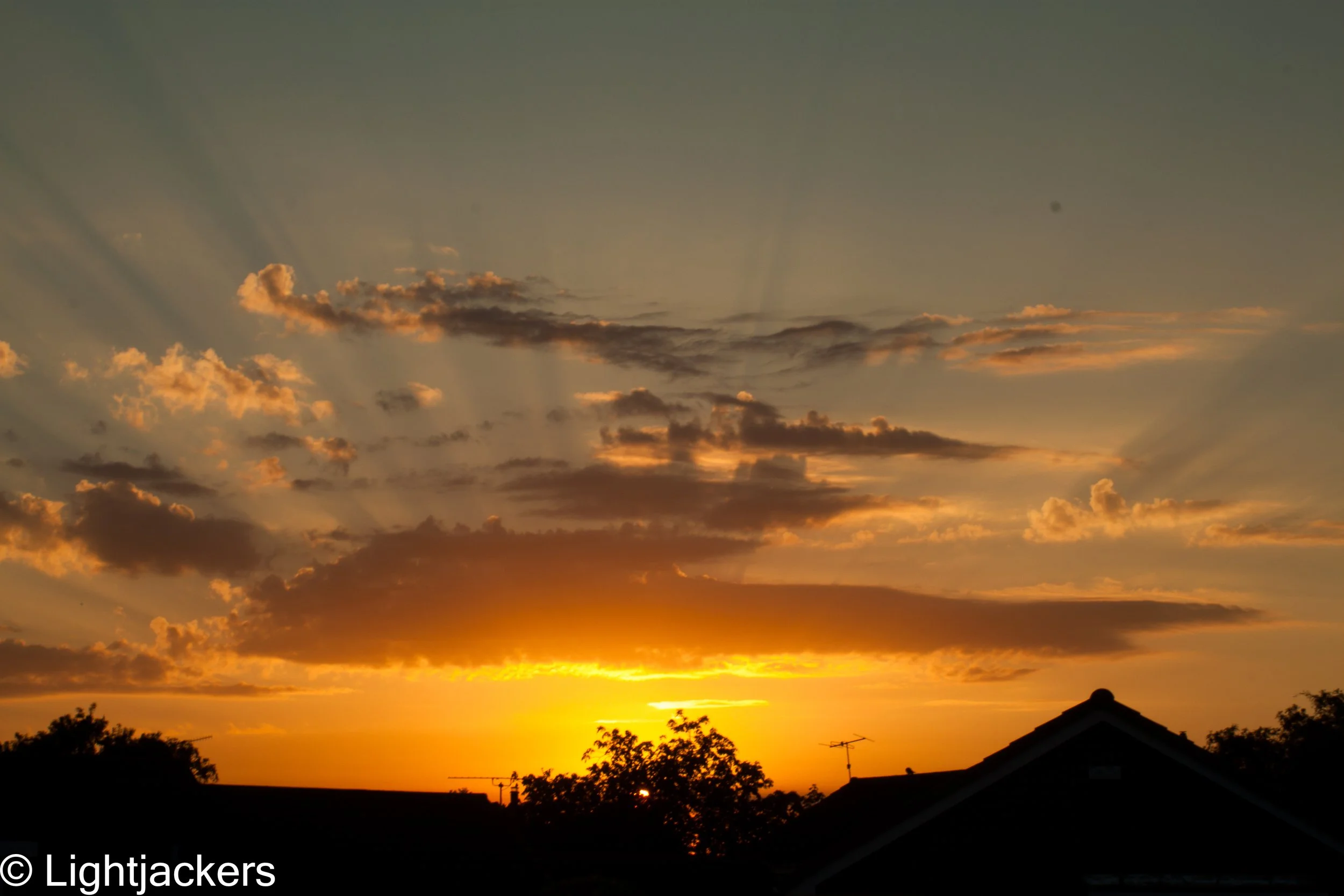 IMG_9518-1.jpg