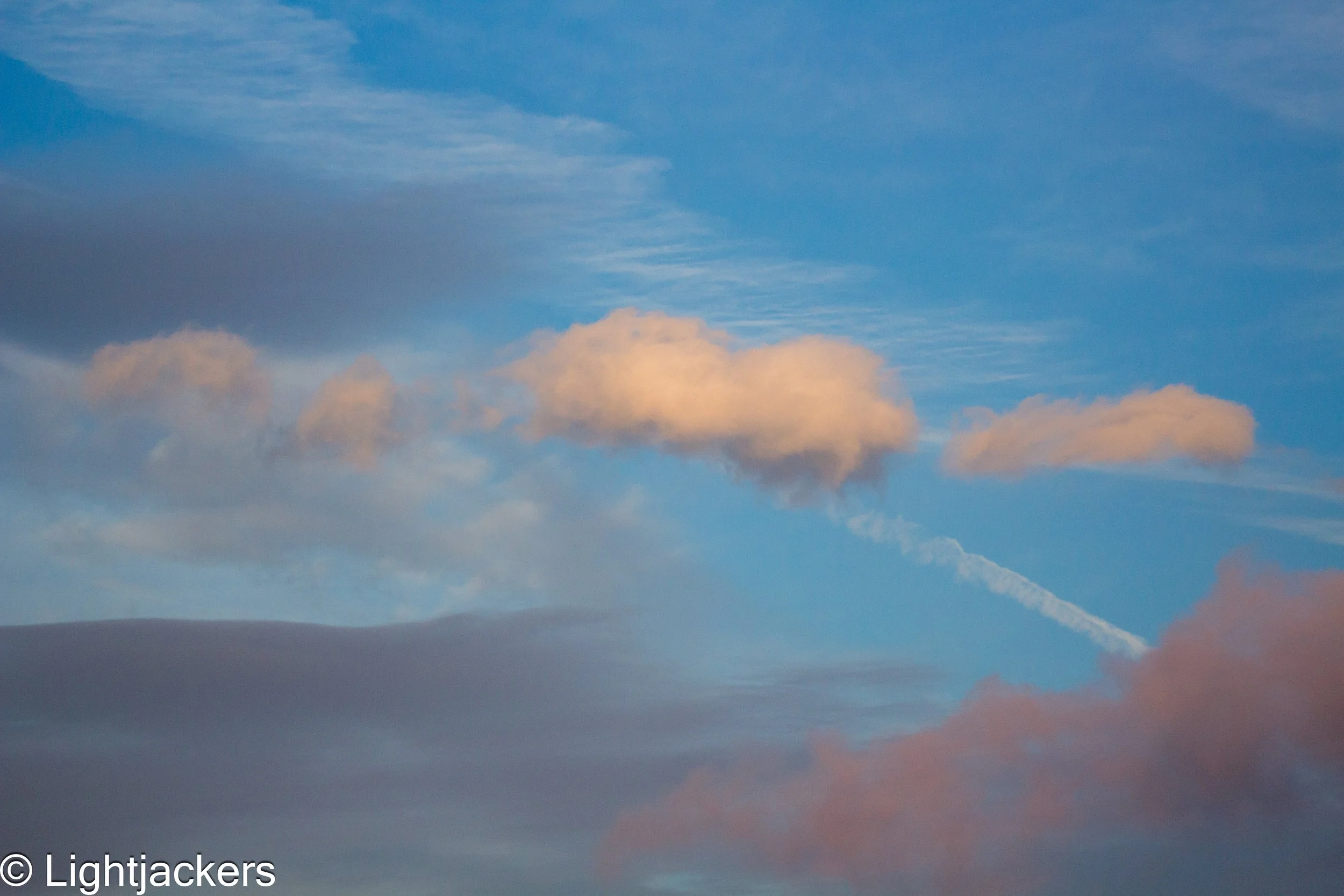 IMG_1734-1.jpg