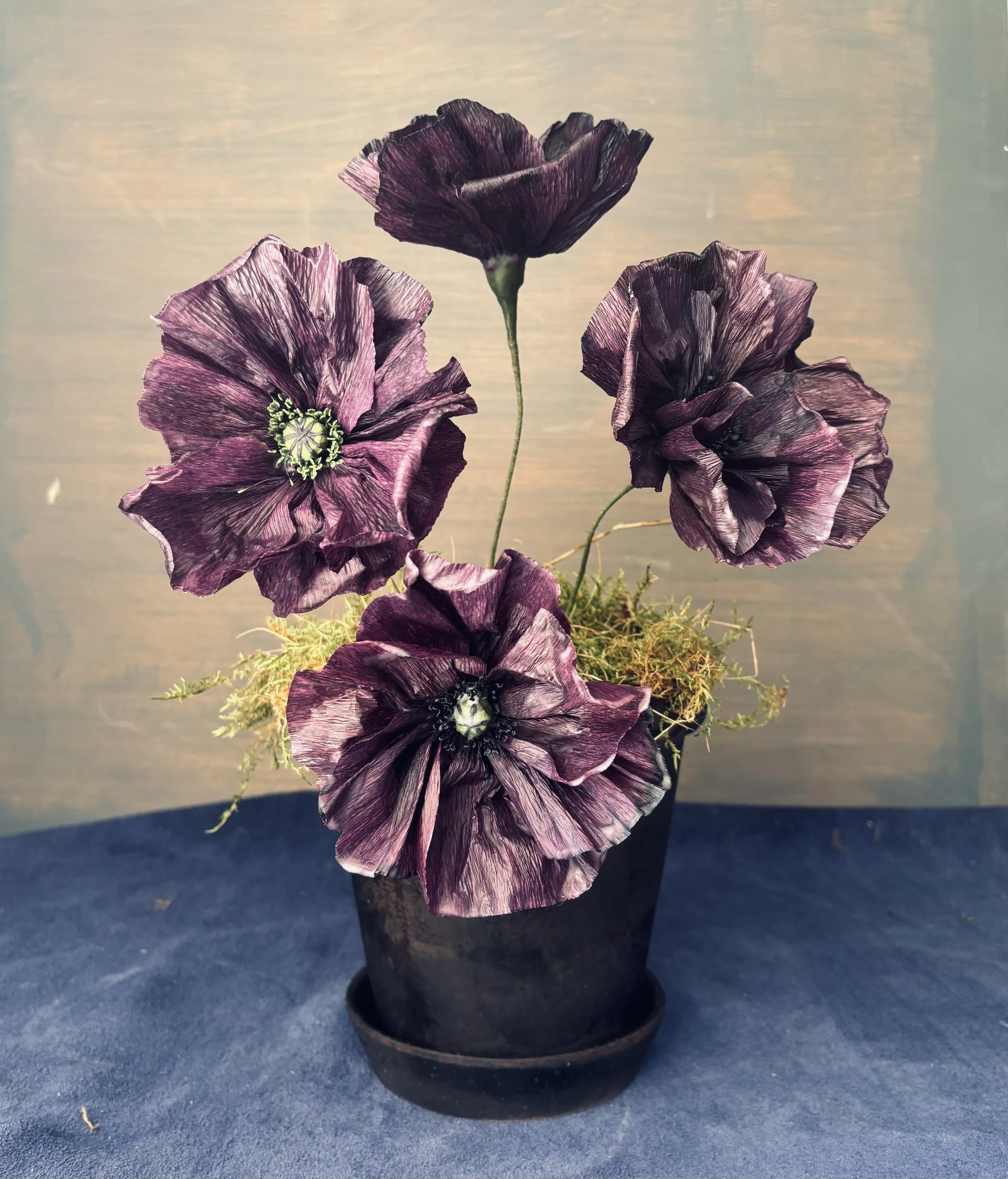 Purple Poppies