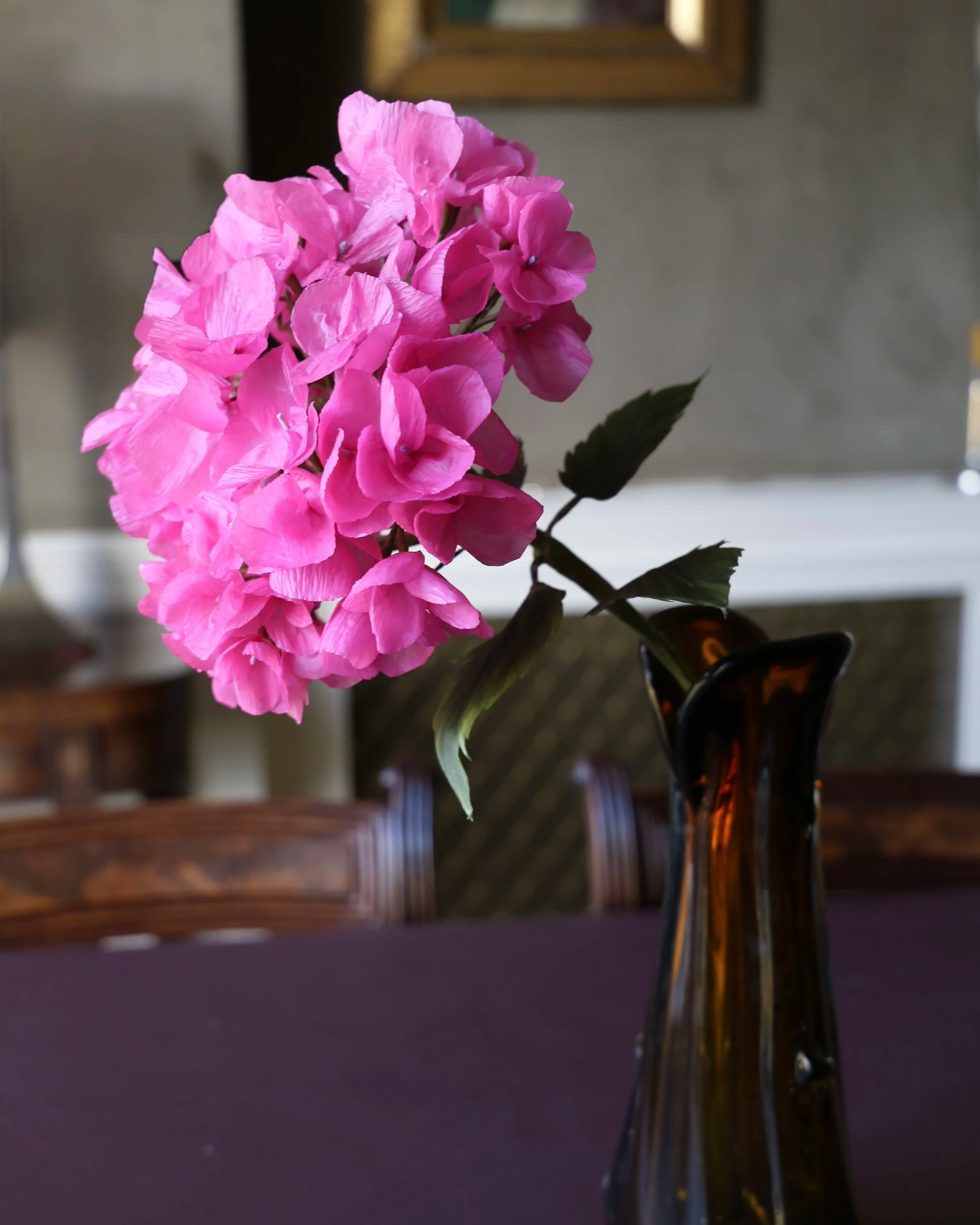 Hydrangea Head