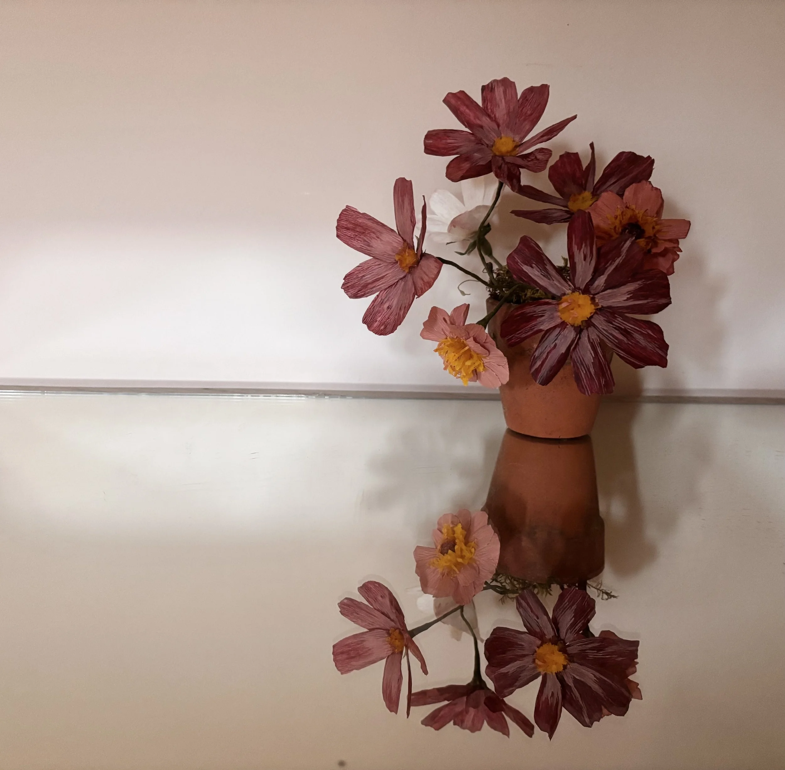 Cosmos