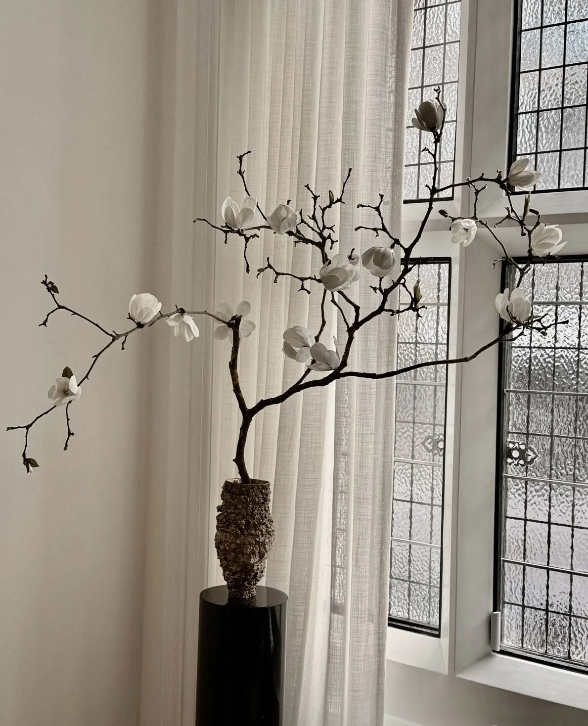 White Magnolia Branch. Medium size