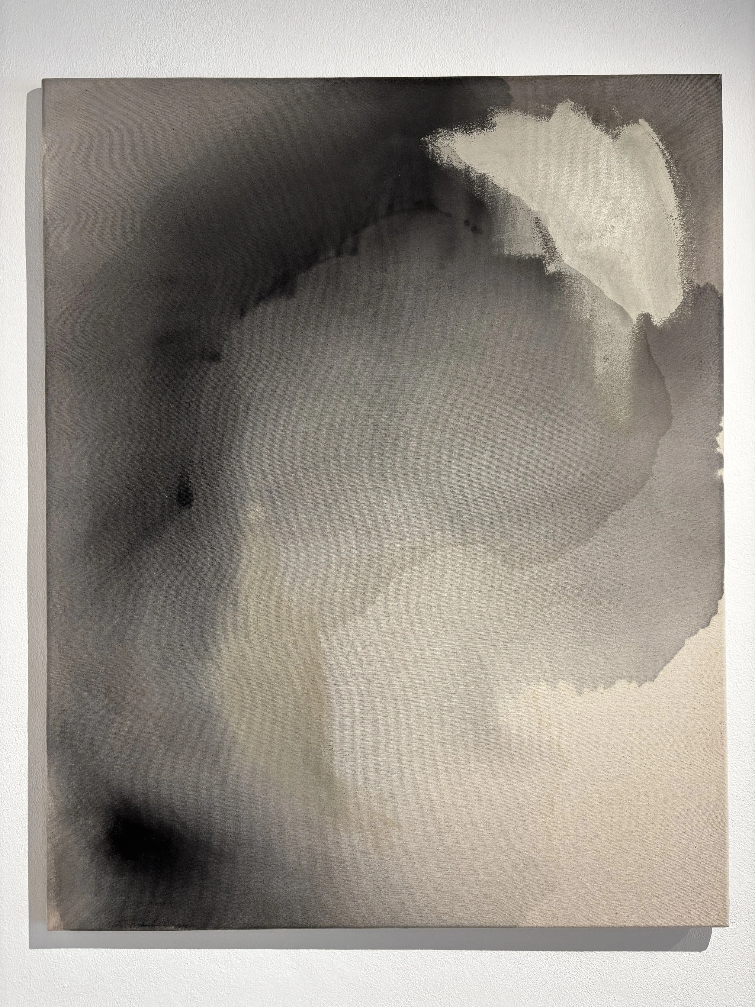 Abstract monochromatic painting with blurred dark and light forms on a rectangular canvas
