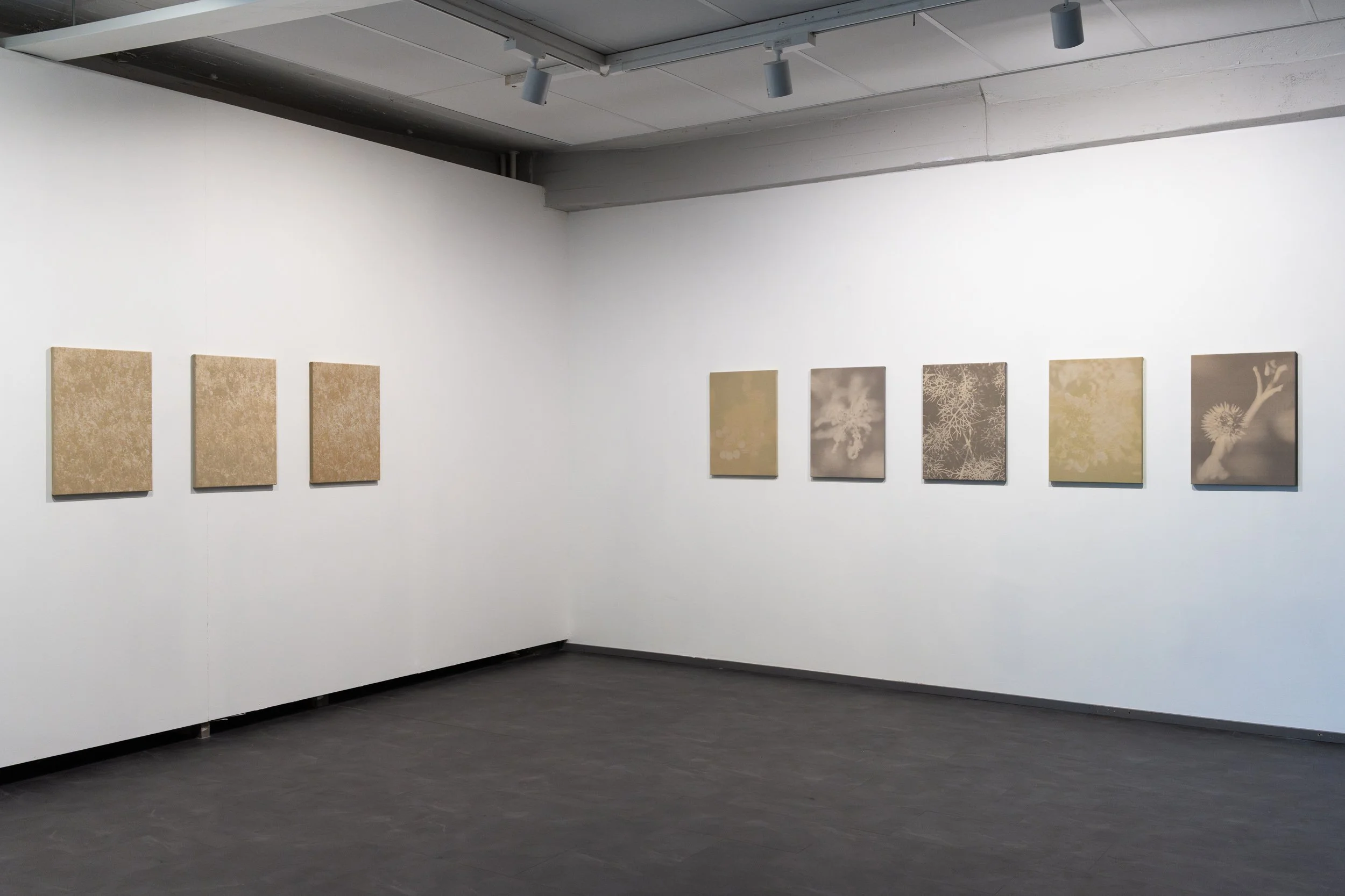 Art gallery with a white wall displaying framed artworks featuring natural textures and patterns.