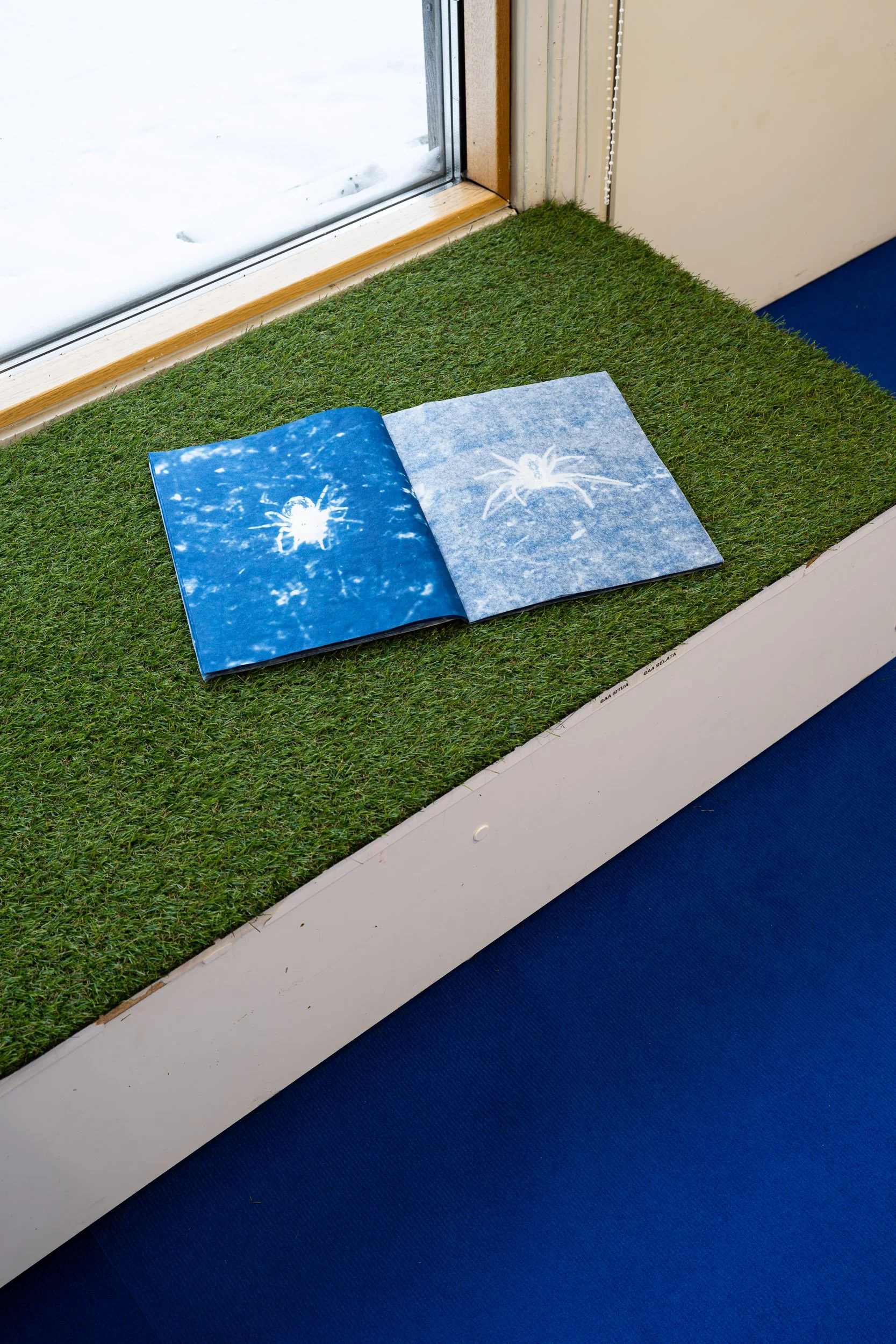 An indoor scene with a section of green artificial grass, a blue book with white spider illustrations, a glass door with snow outside, beige door frame, and a blue carpet.