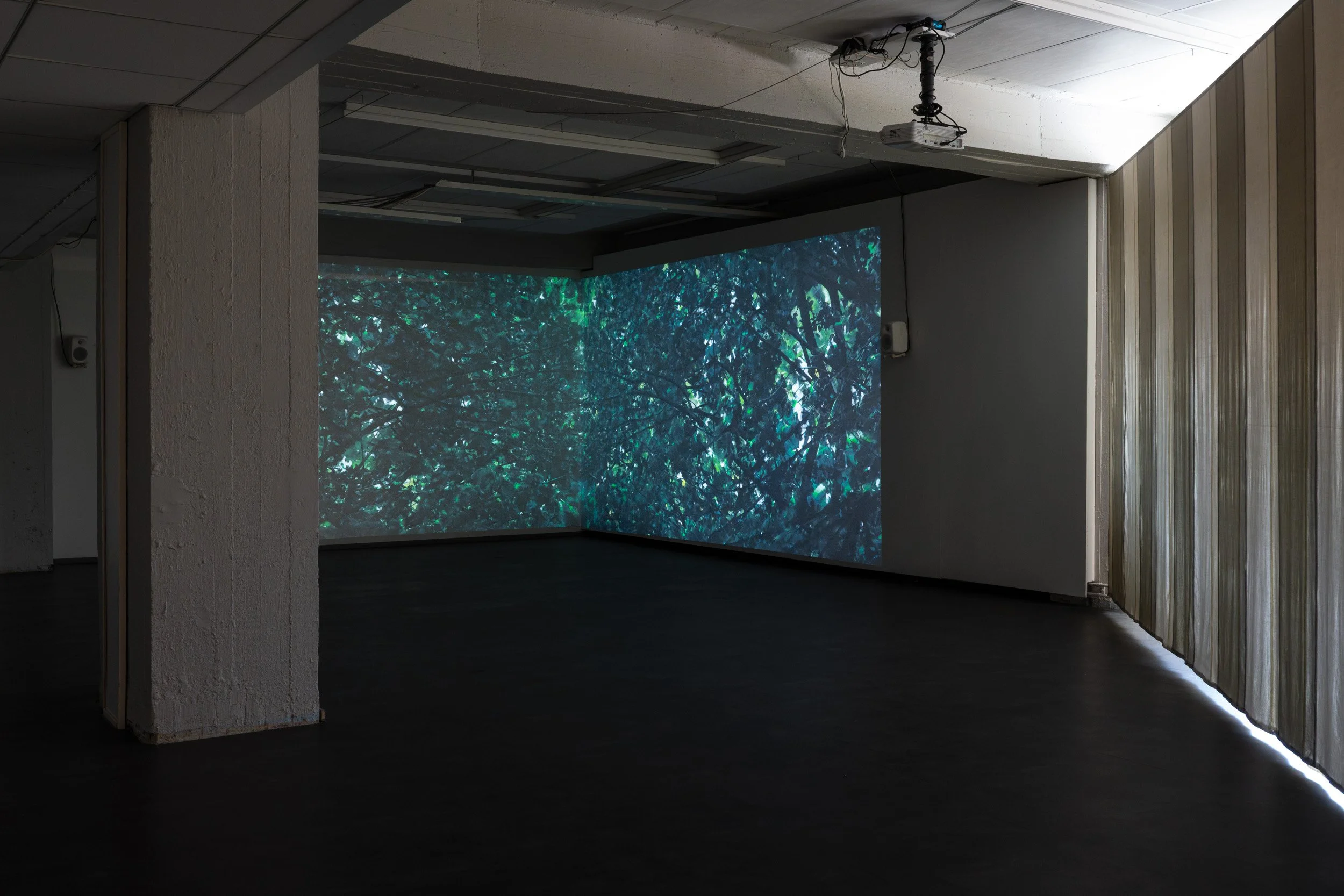 An indoor space with a large screen displaying a forest scene and a ceiling-mounted projector.
