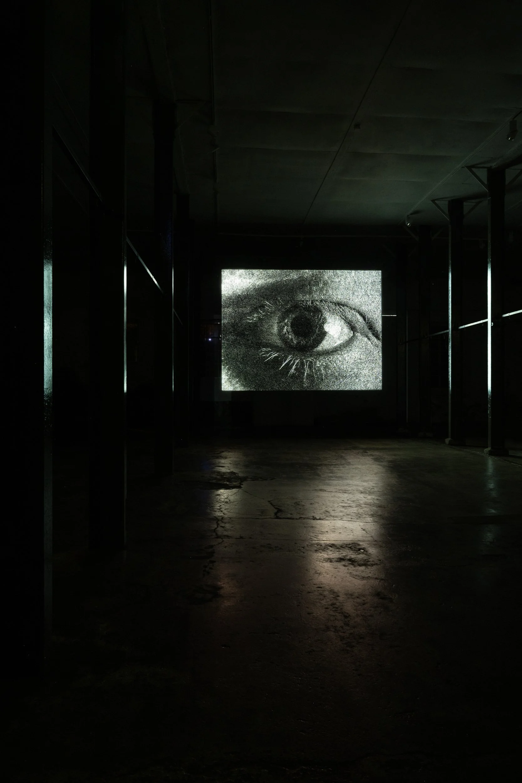 A dark room with a large black and white projection of a human eye on the back wall, illuminated in an art installation setting.