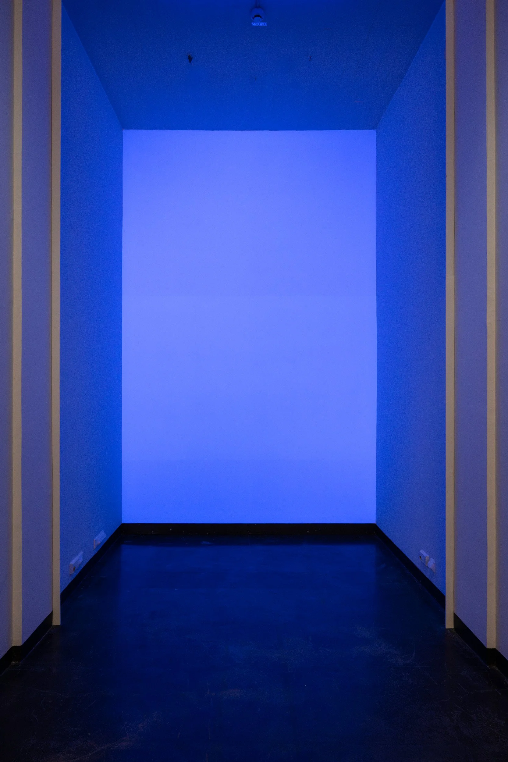 A dark hallway with blue lighting illuminating the back wall, framed by light-colored walls with trim and black flooring.