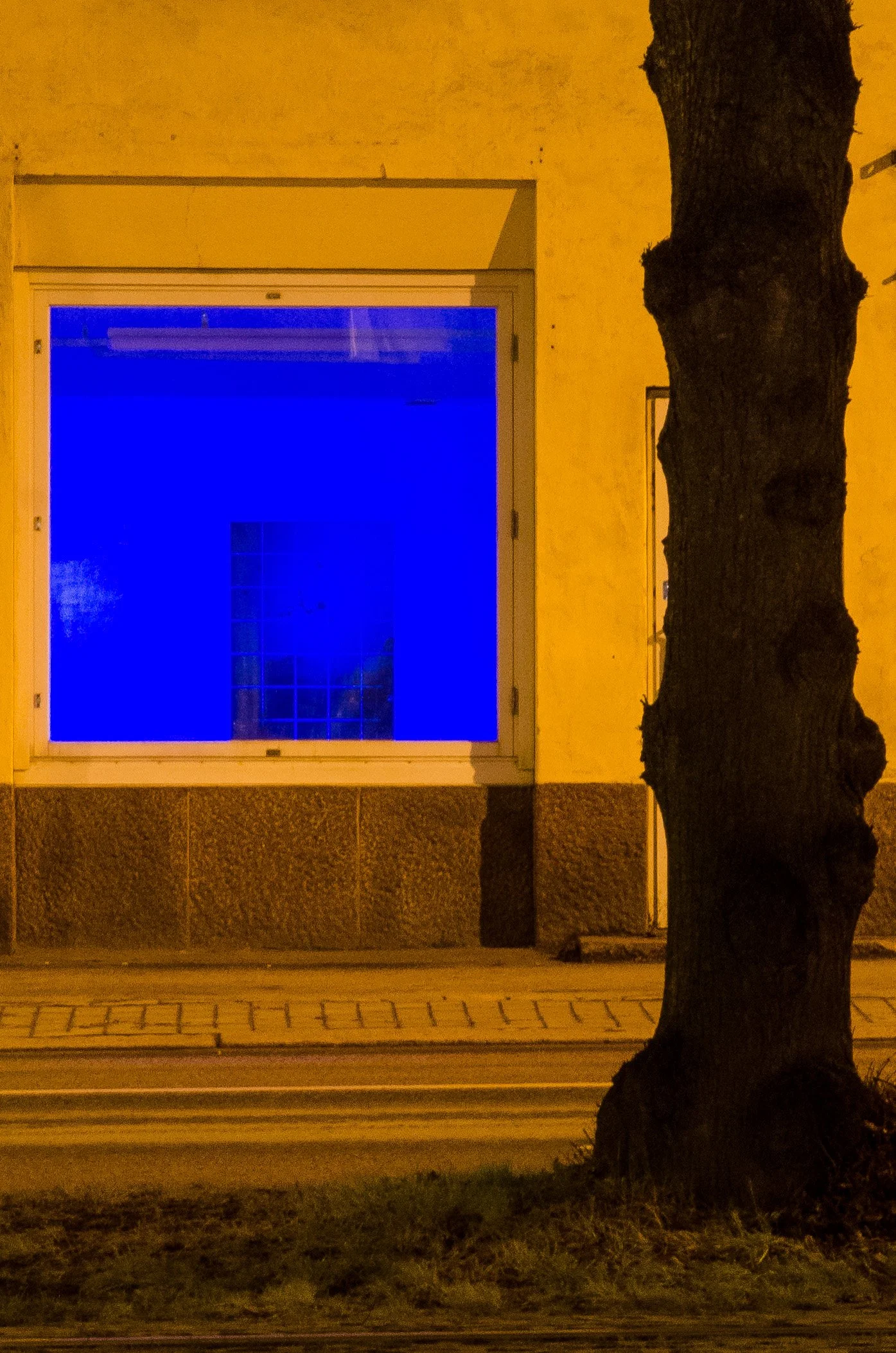 A tree with dark bark is in front of a building with a yellow wall and a large window that has a blue tint, reflecting some lights or objects inside. The lower part of the image shows a sidewalk and street.