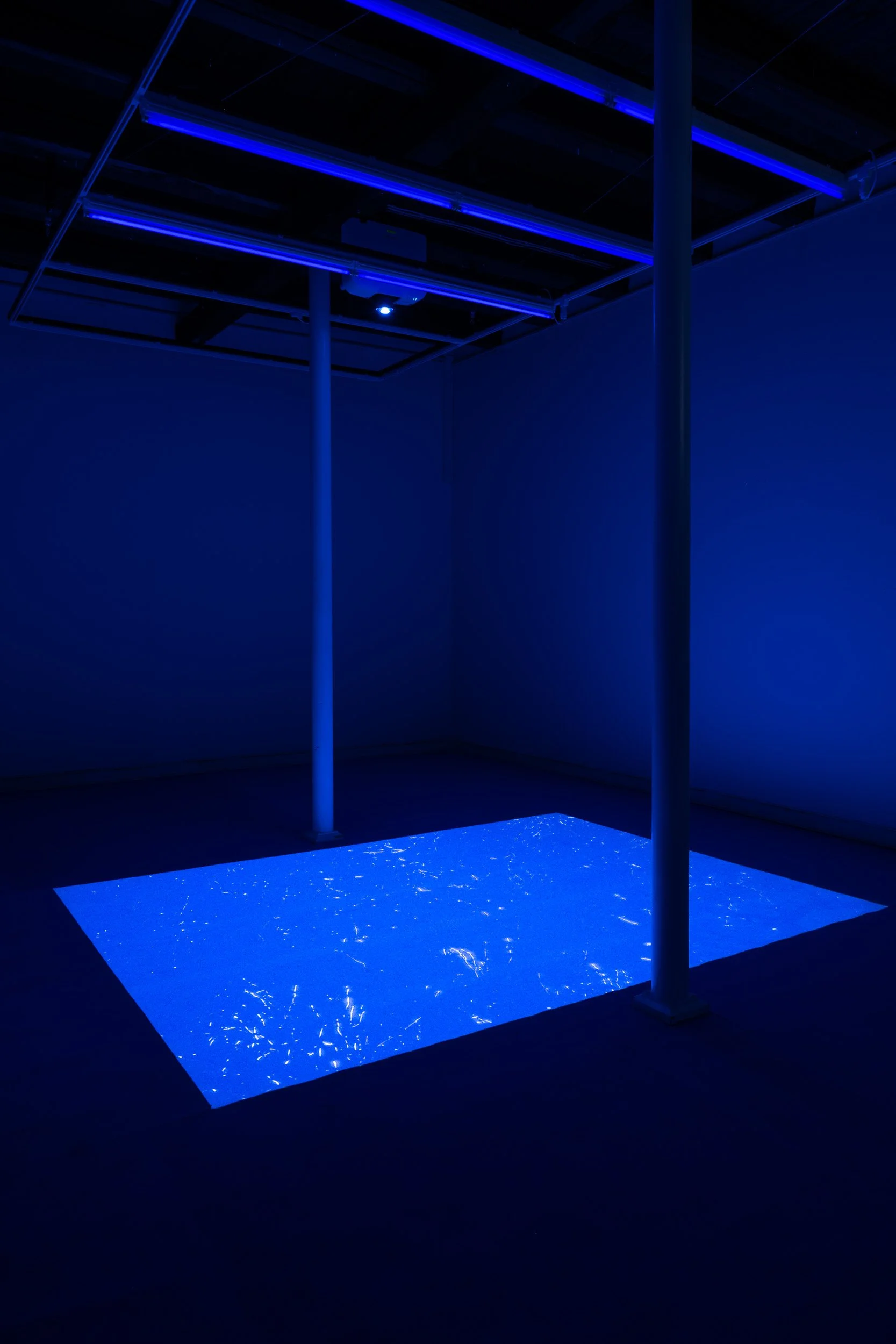 An art installation features glowing blue lights and reflective surfaces in a dark room with four white vertical poles supporting a black grid ceiling.