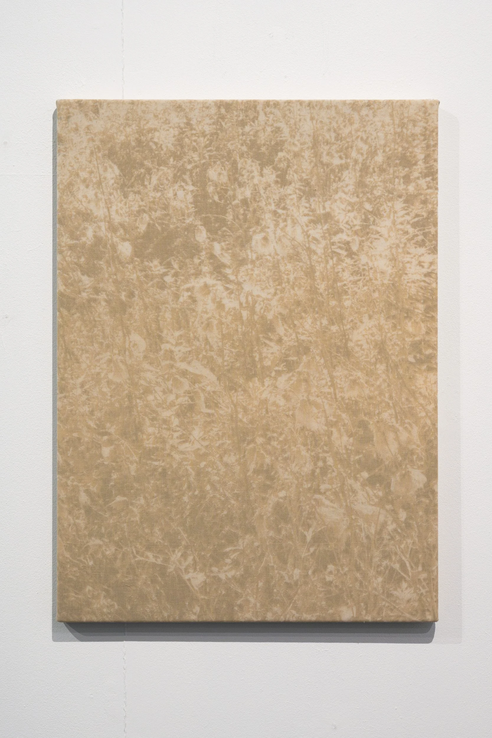 Close-up view of a textured beige-colored canvas or artwork mounted on a white wall.