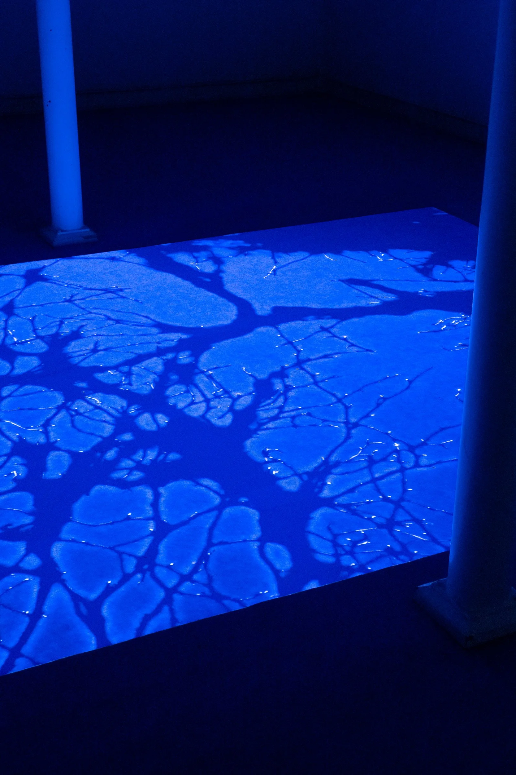A digital display with a blue illuminated surface showing a pattern of intricate, glowing, interconnected lines and shapes.