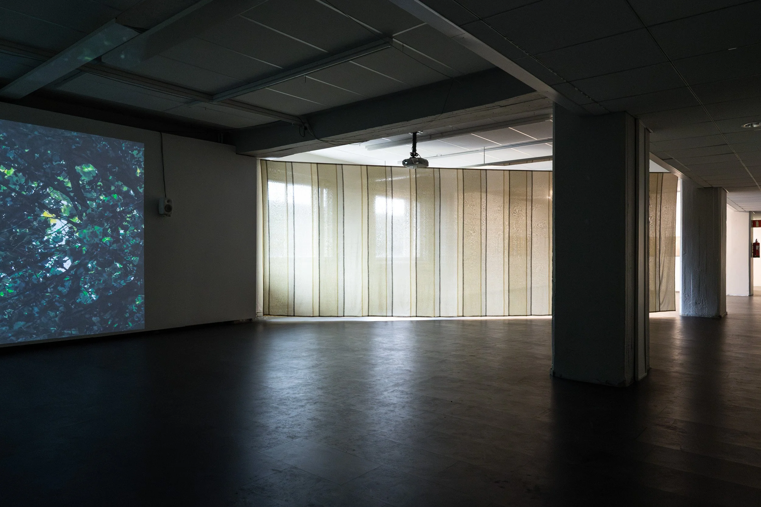Indoor space with a projection of leafy tree branches on a wall, partially covered by a curtain, with ceiling tiles and a ceiling-mounted projection device visible.
