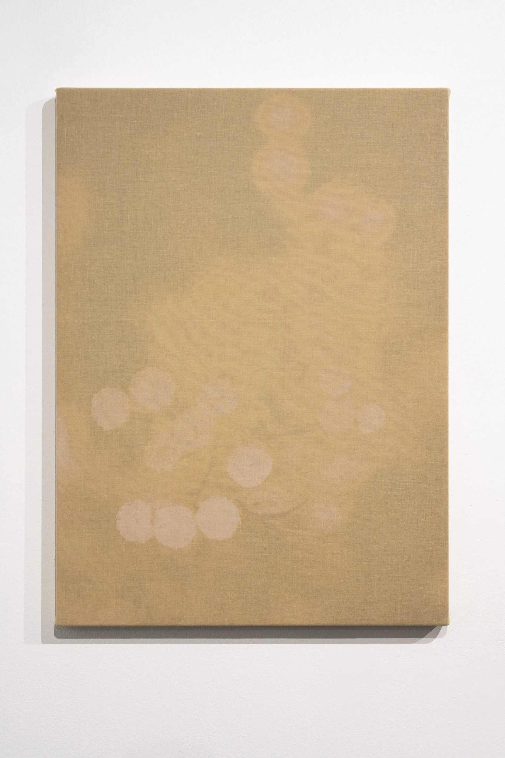 A beige-colored canvas or print with a faint floral pattern, displayed on a white wall with a shadow cast on the wall.