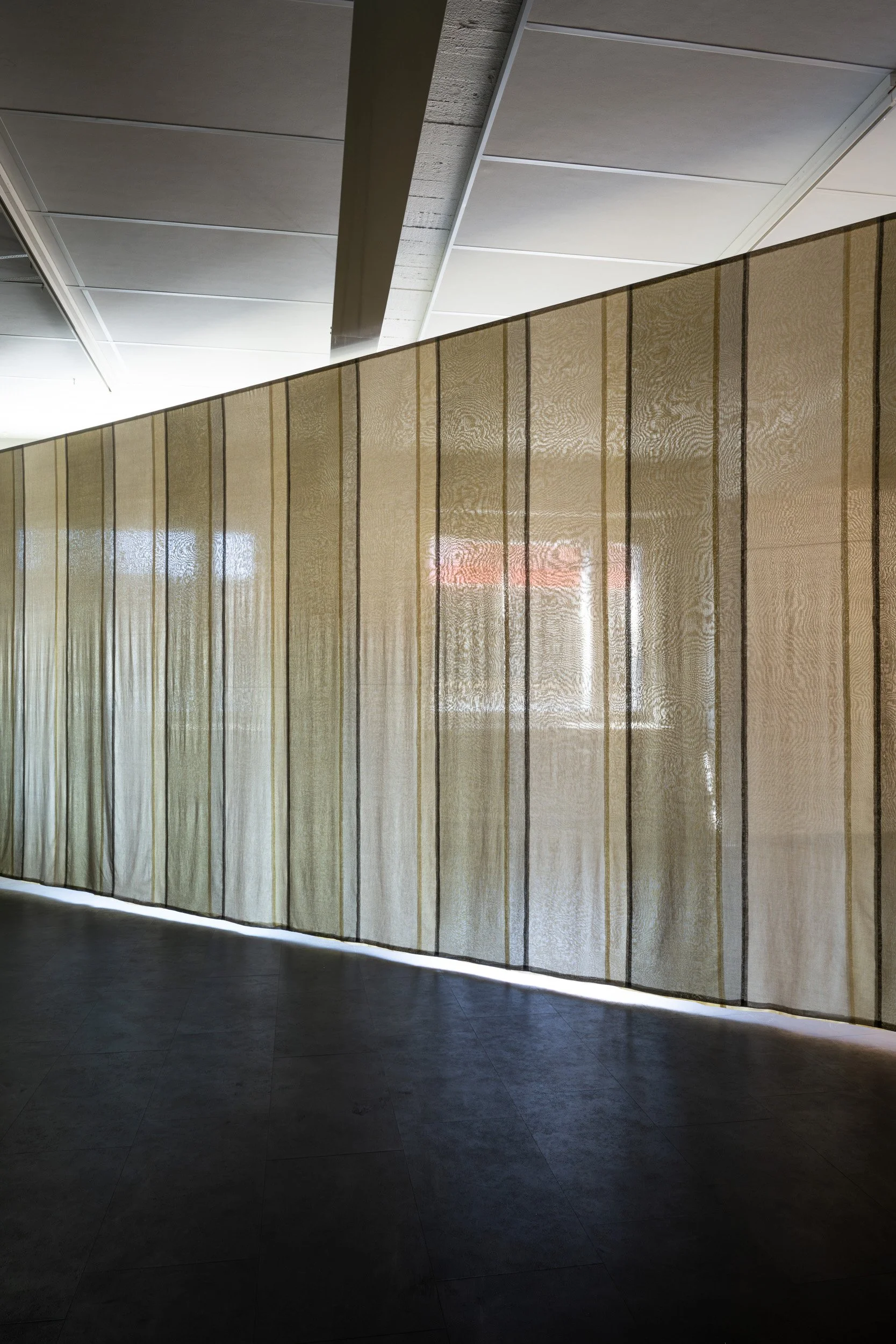 Interior view of an architectural space showing a curved wall made of semi-transparent material with vertical divided lines, an overhead ceiling with rectangular panels, and a floor with dark tiles. Light filters through the semi-transparent wall, creating reflections and shadows.