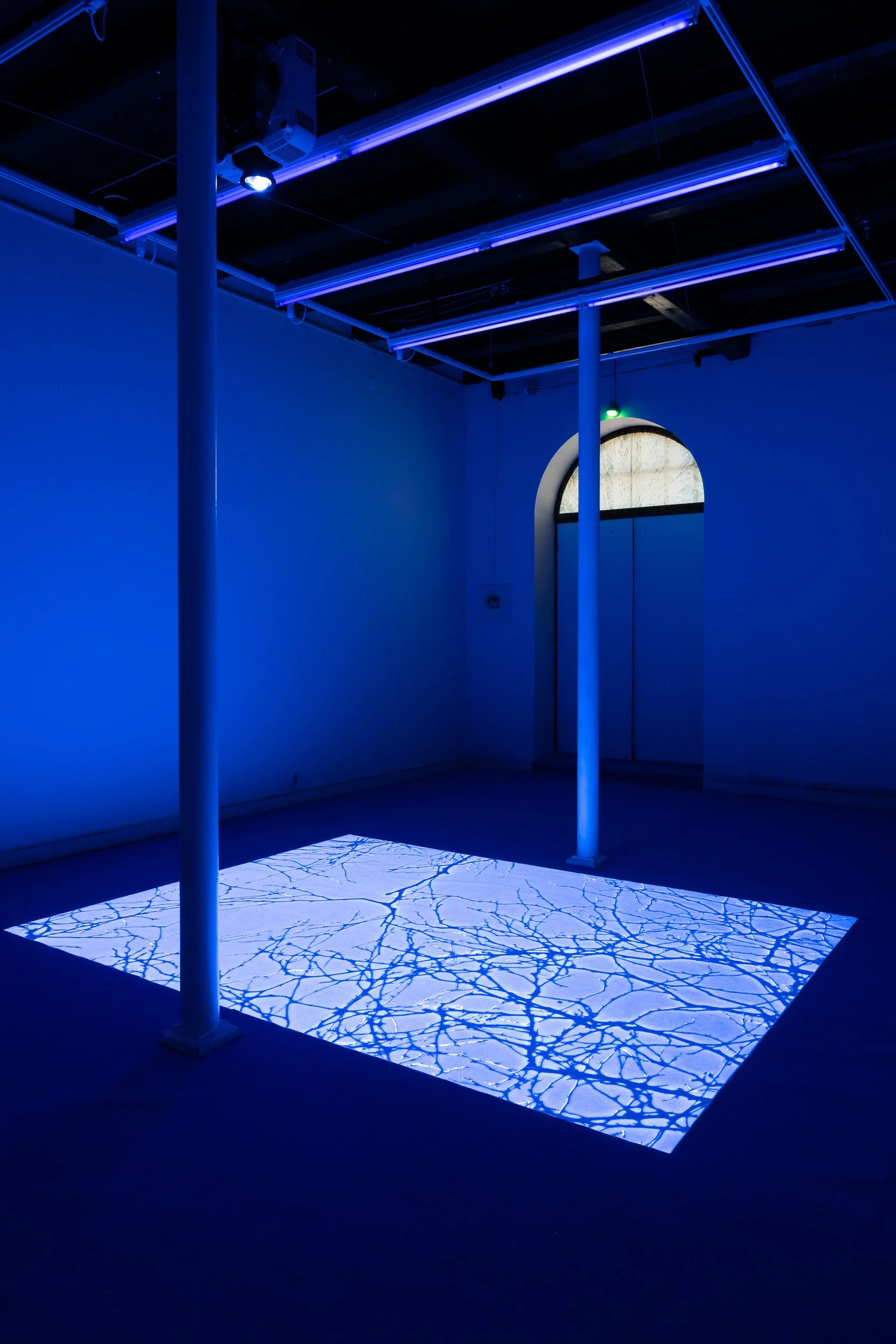 An art installation featuring a glowing blue light pattern projected onto a white floor in a dimly lit room with blue lighting, white poles, and a curved window in the background.