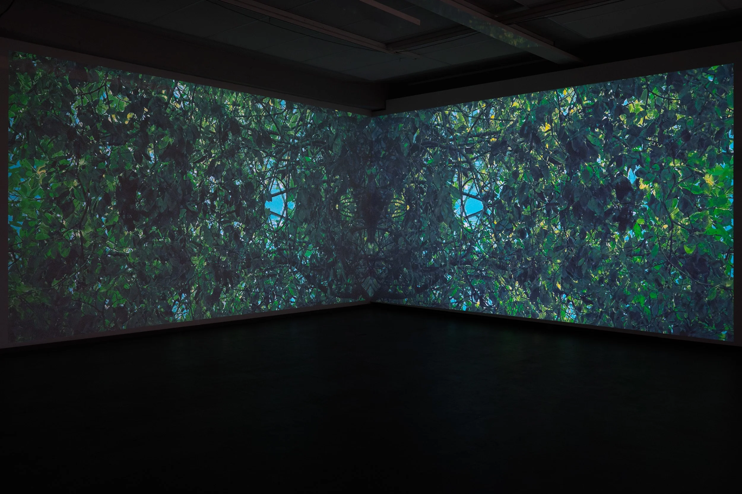 An indoor exhibit features a wall-sized projection of dense green foliage with blue sky visible through the leaves.