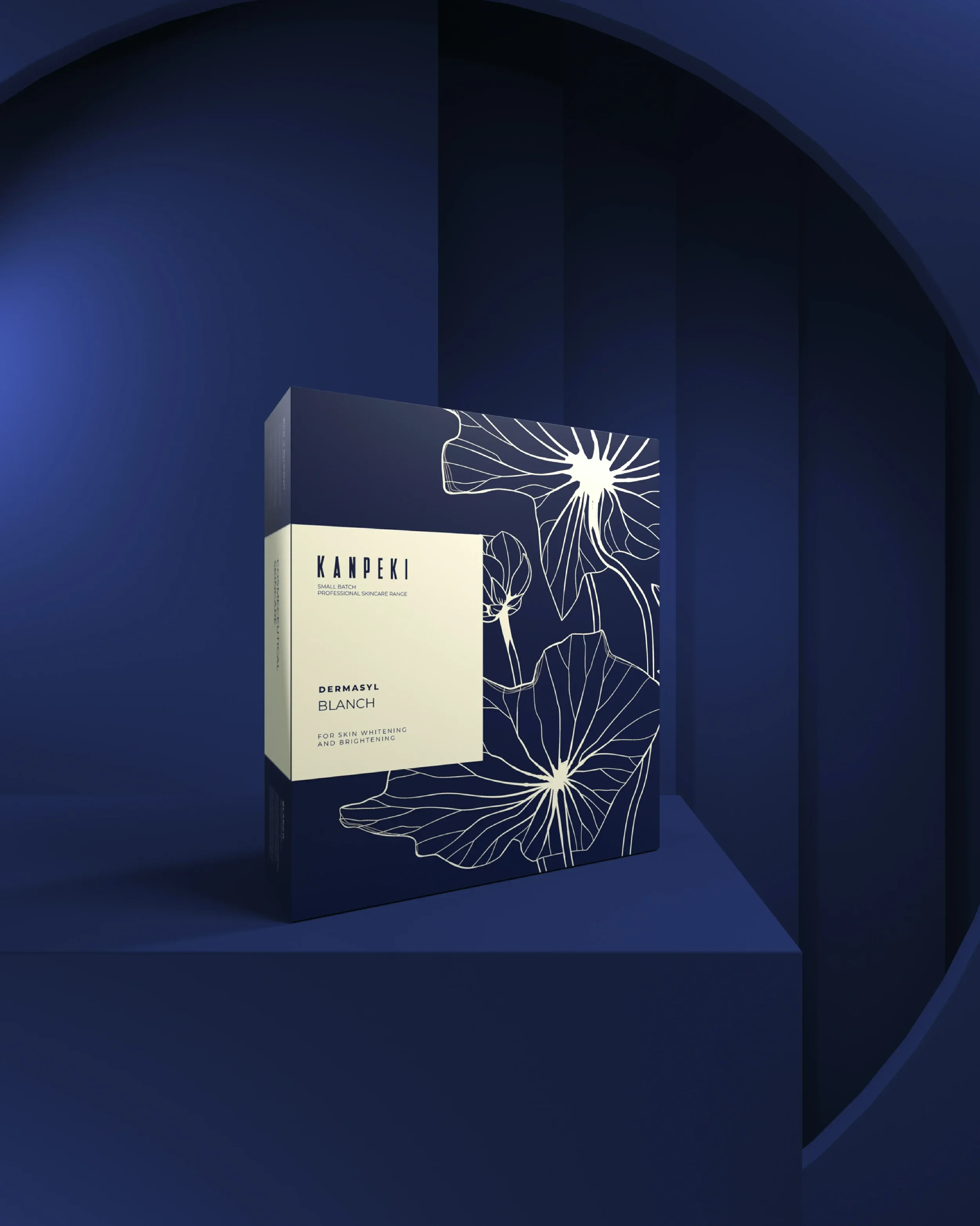 BLANCH | 10 STEP FACIAL KIT
