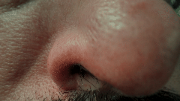 Macro.gif